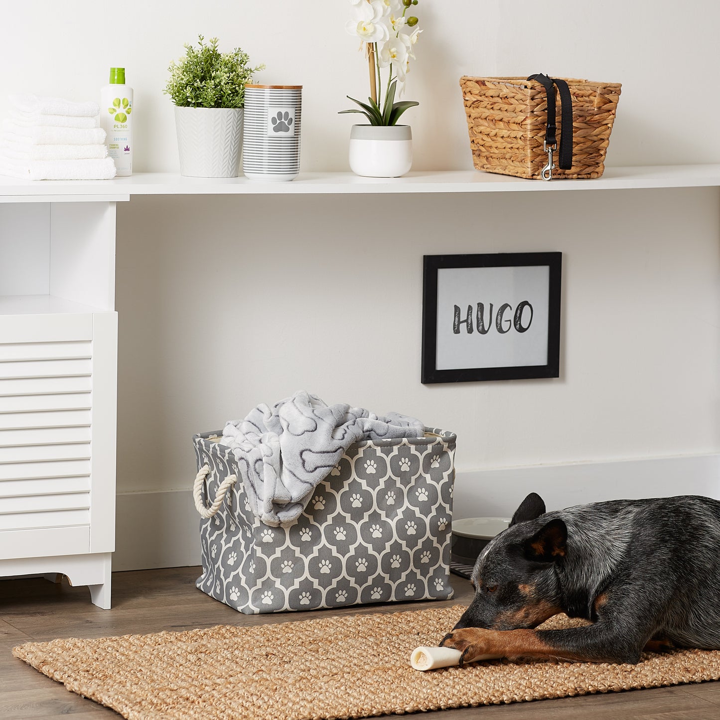 Bone Dry Pet Storage Bin, Lattice Paw Print, Gray, Medium  - 16x10x12"