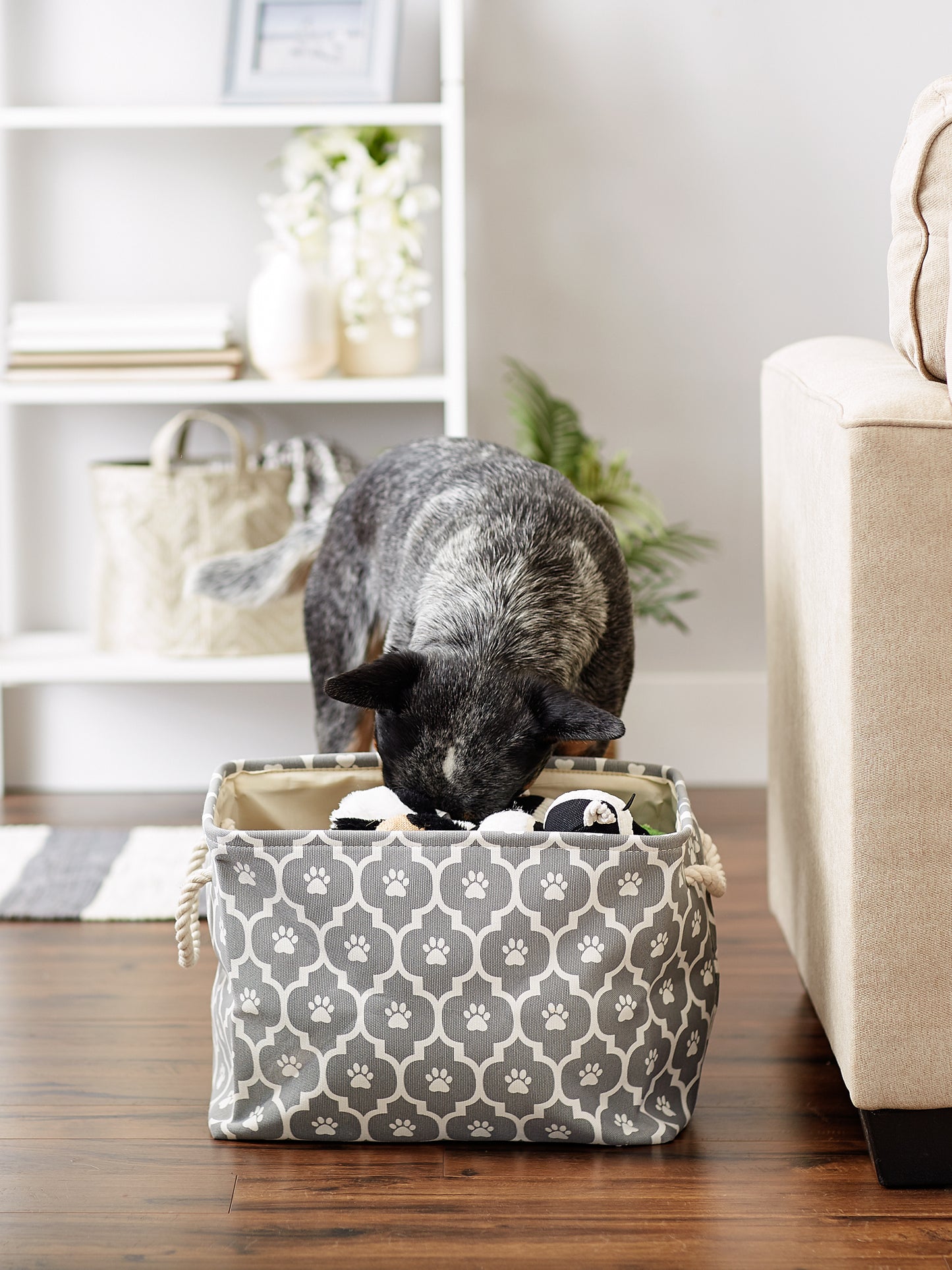 Bone Dry Pet Storage Bin, Lattice Paw Print, Gray, Medium  - 16x10x12"