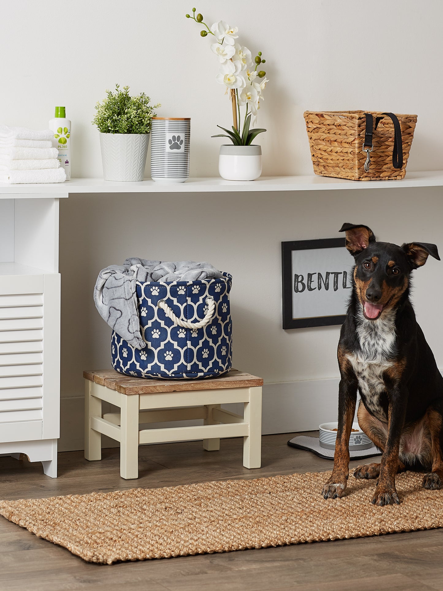 Bone Dry Pet Storage Bin, Lattice Paw Print, Nautical Blue, Small Round - 12x9"