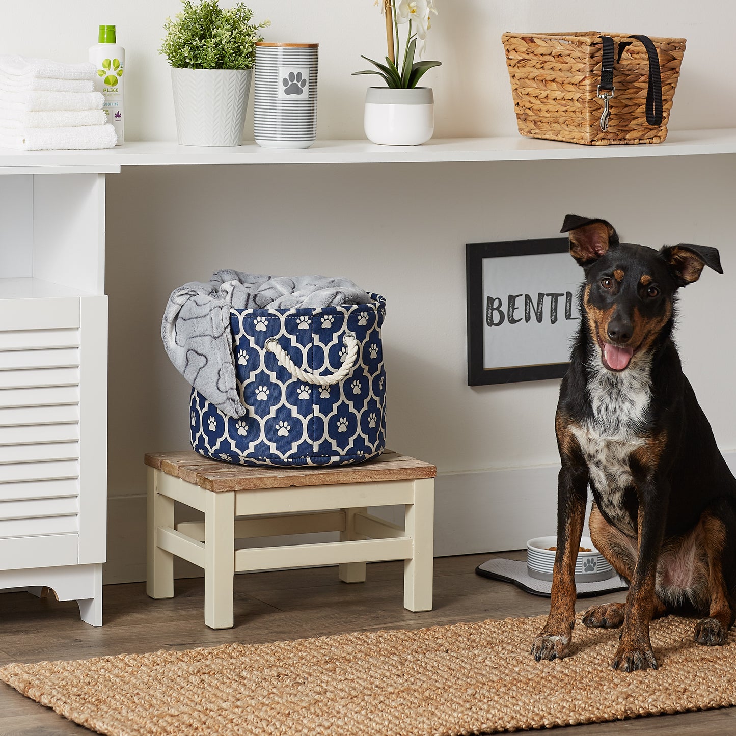 Bone Dry Pet Storage Bin, Lattice Paw Print, Nautical Blue, Small Round - 12x9"