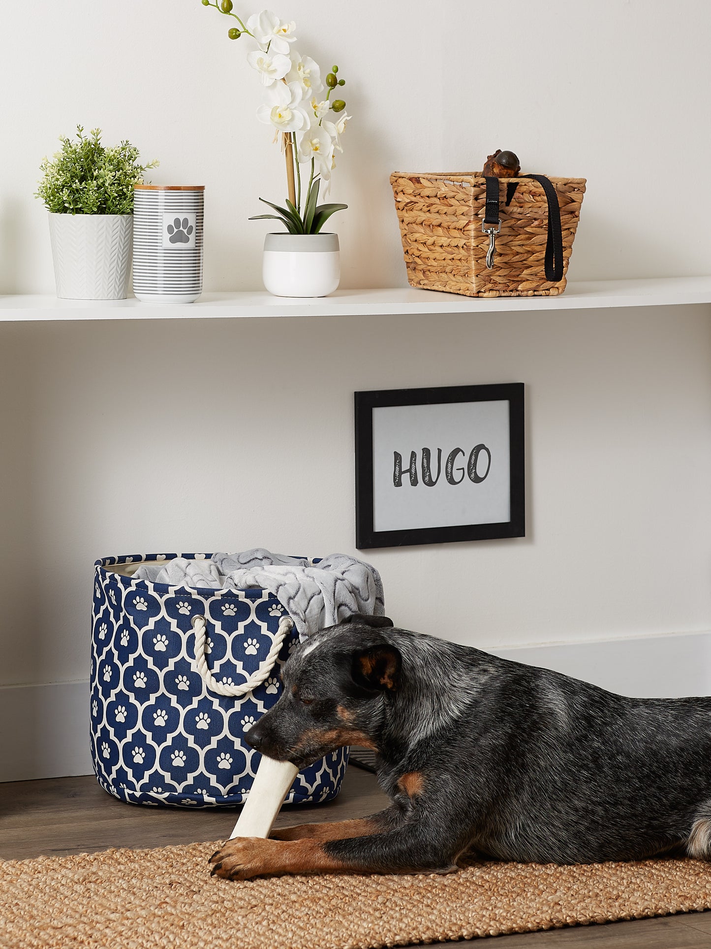 Bone Dry Pet Storage Bin, Lattice Paw Print, Nautical Blue, Medium Round - 15x12"