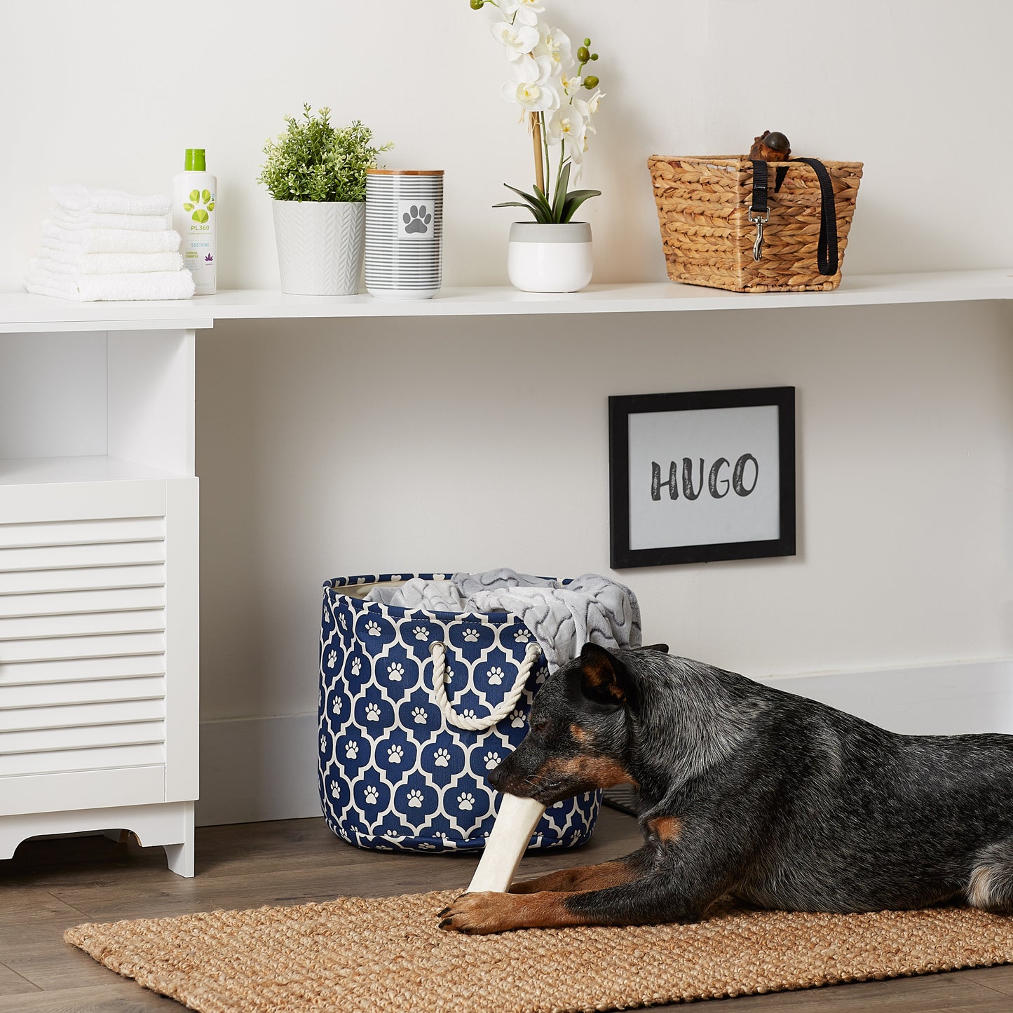 Bone Dry Pet Storage Bin, Lattice Paw Print, Nautical Blue, Medium Round - 15x12"