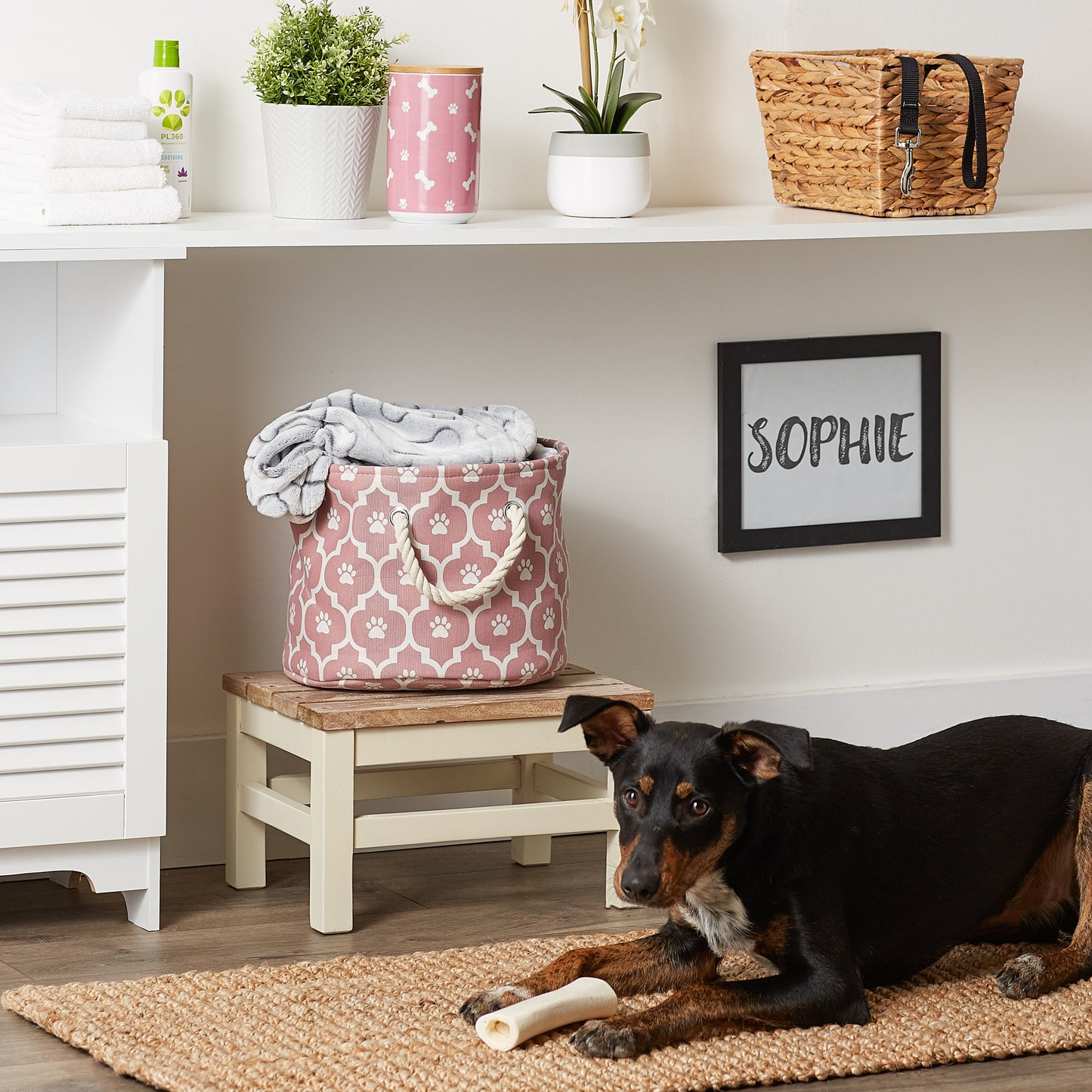 Bone Dry Pet Storage Bin, Lattice Paw Print, Rose, Small Round - 12x9"