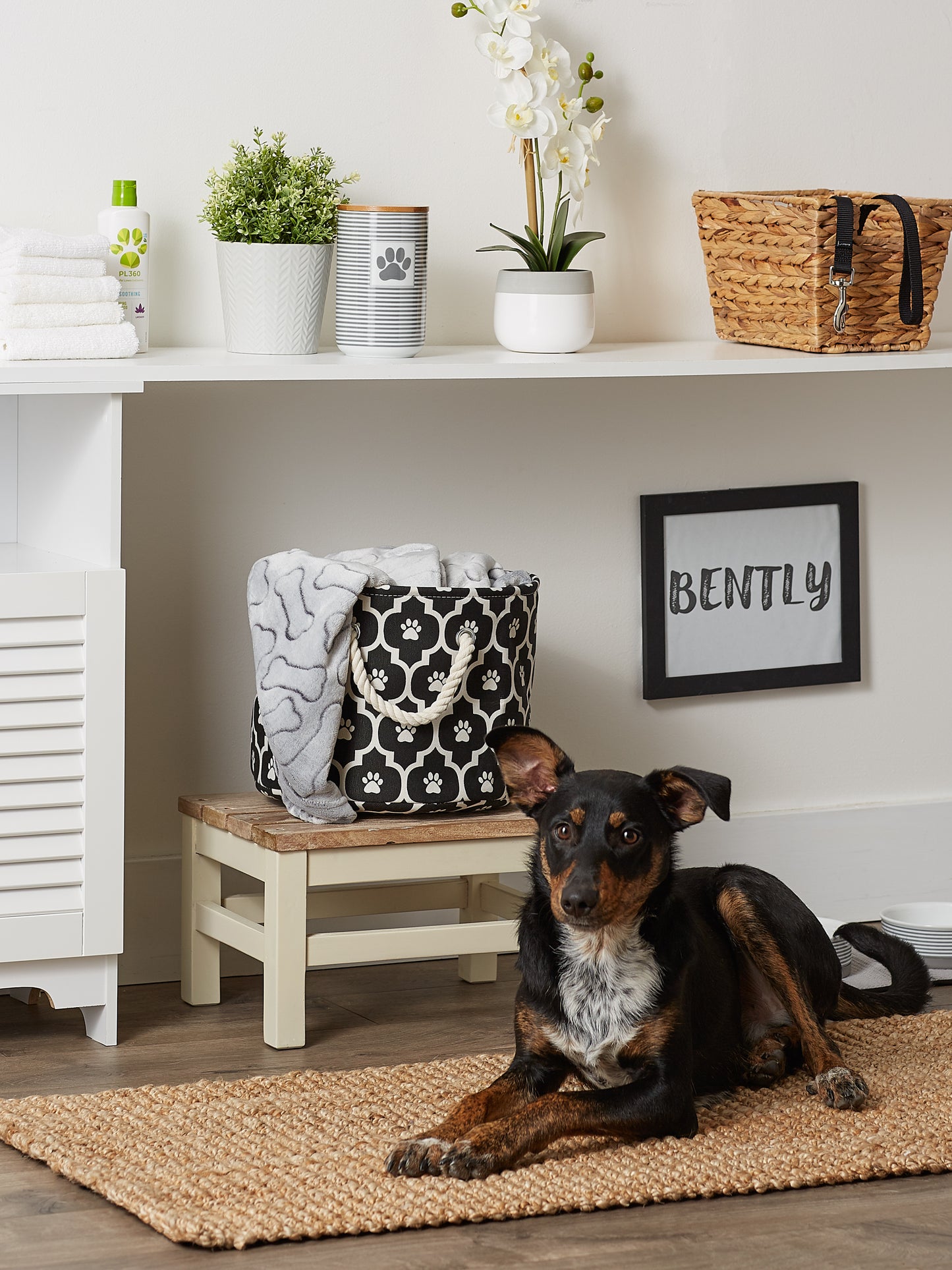 Bone Dry Pet Storage Bin, Lattice Paw Print, Black, Small Round - 12x9"