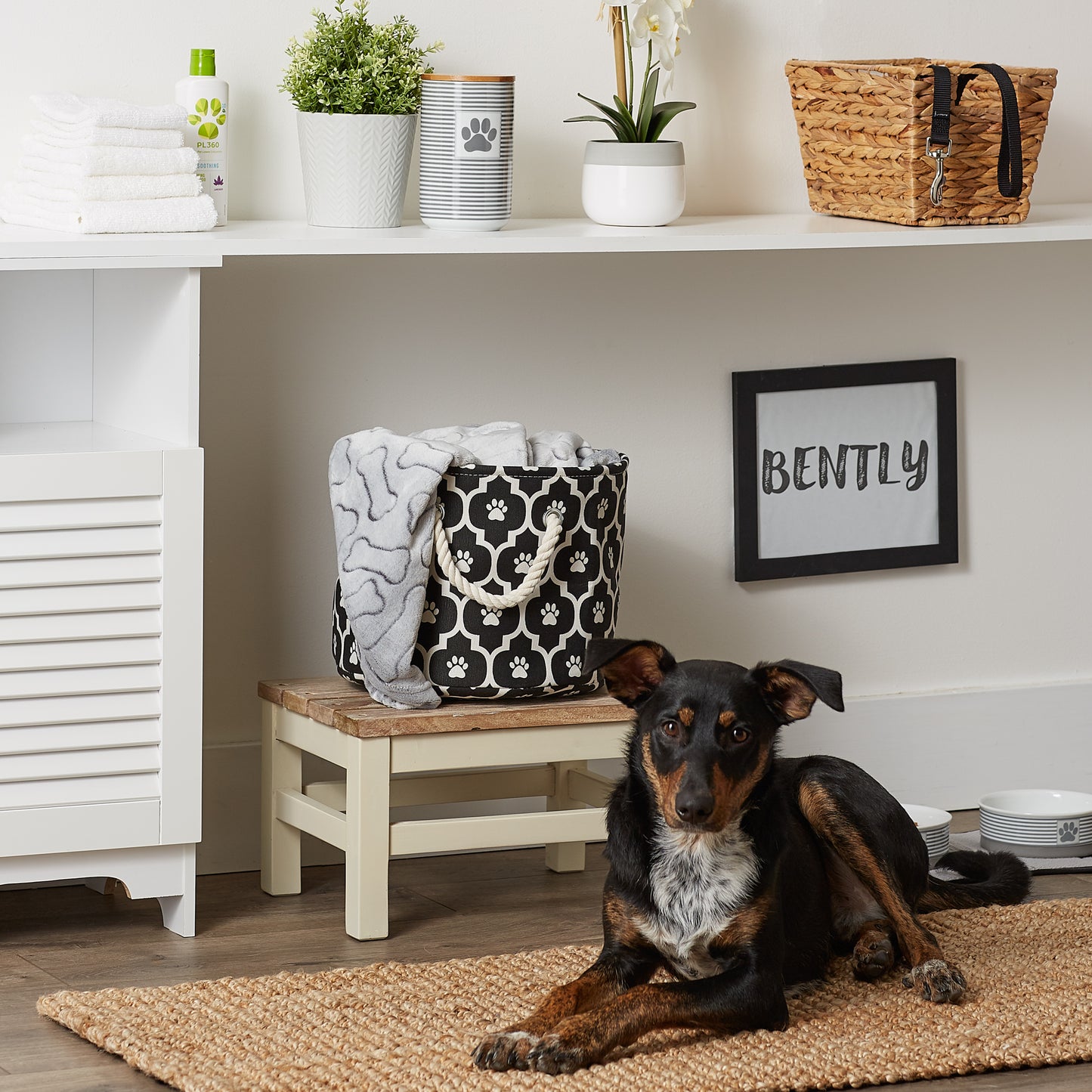 Bone Dry Pet Storage Bin, Lattice Paw Print, Black, Small Round - 12x9"