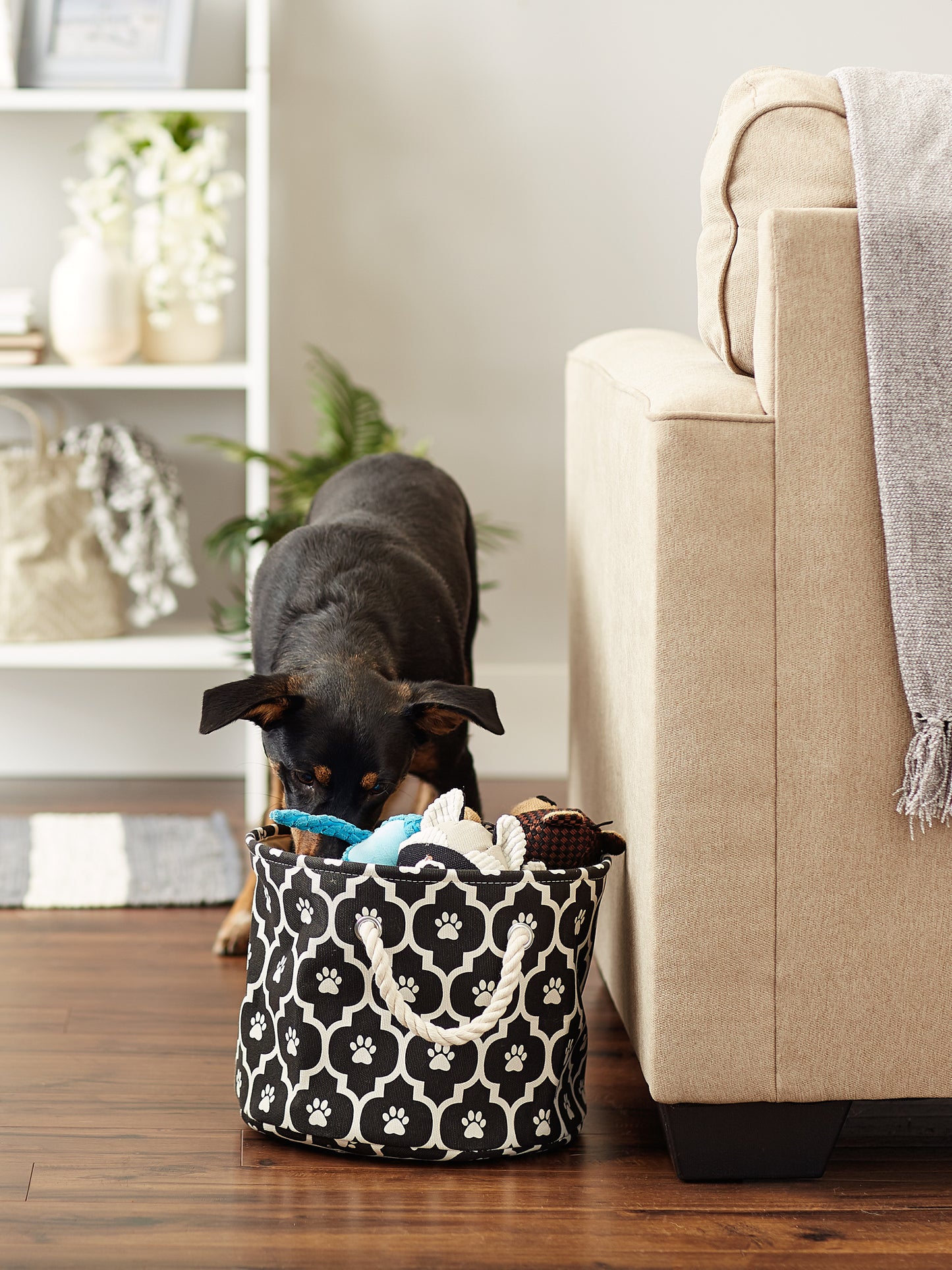 Bone Dry Pet Storage Bin, Lattice Paw Print, Black, Small Round - 12x9"