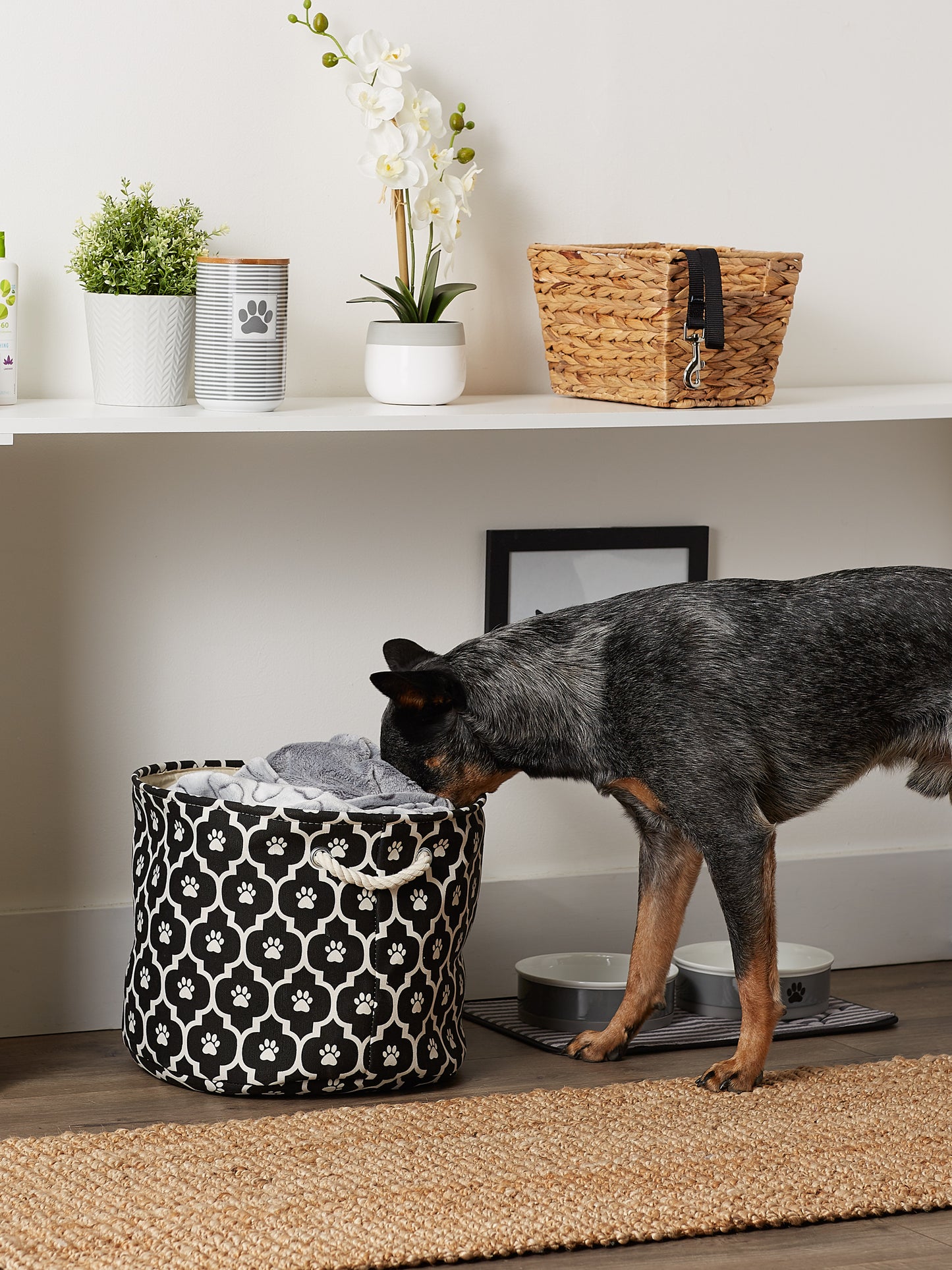 Bone Dry Pet Storage Bin, Lattice Paw Print, Black, Medium Round - 15x12"