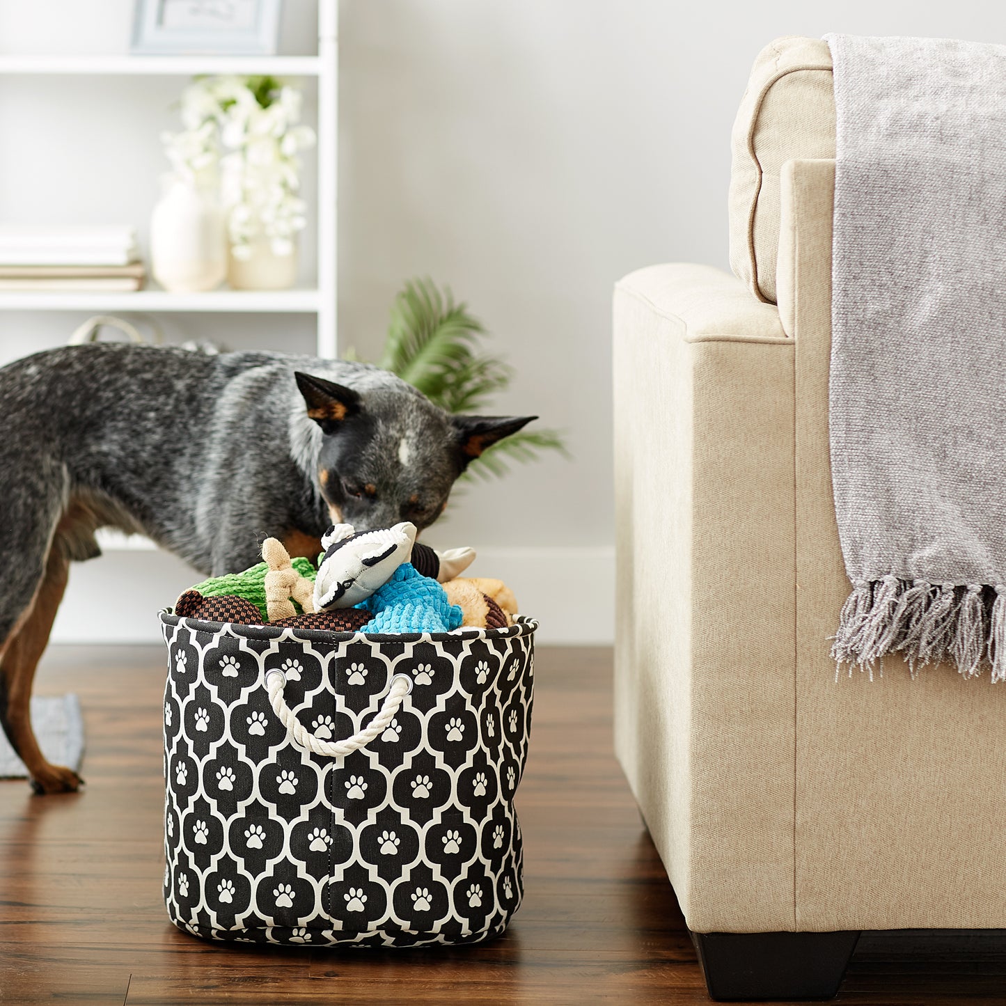 Bone Dry Pet Storage Bin, Lattice Paw Print, Black, Medium Round - 15x12"