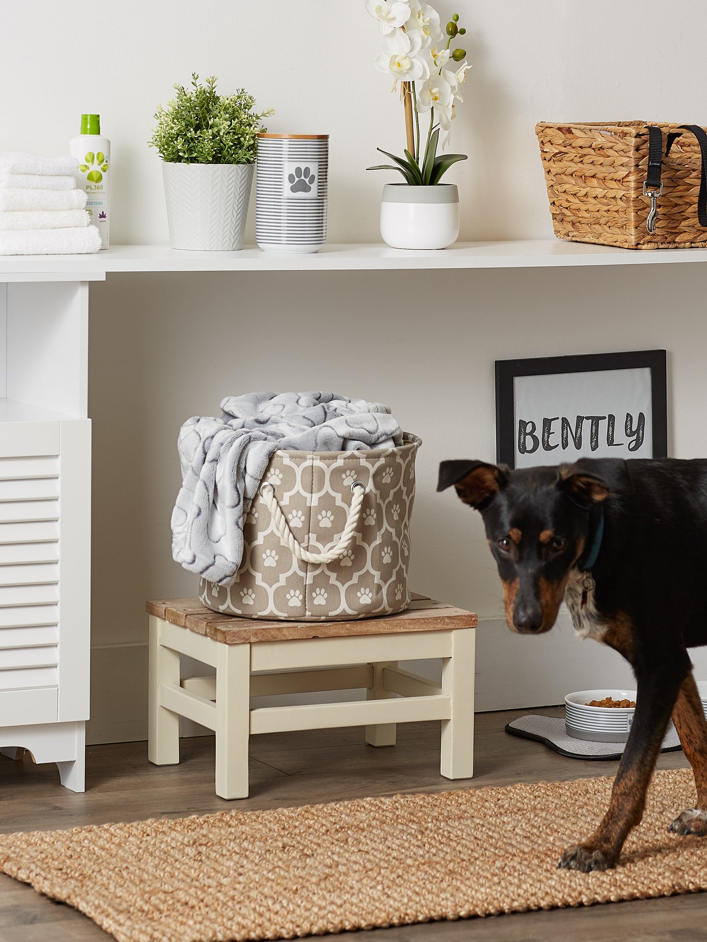 Polyester Pet Bin Lattice Paw Stone Round Small 9X12X12