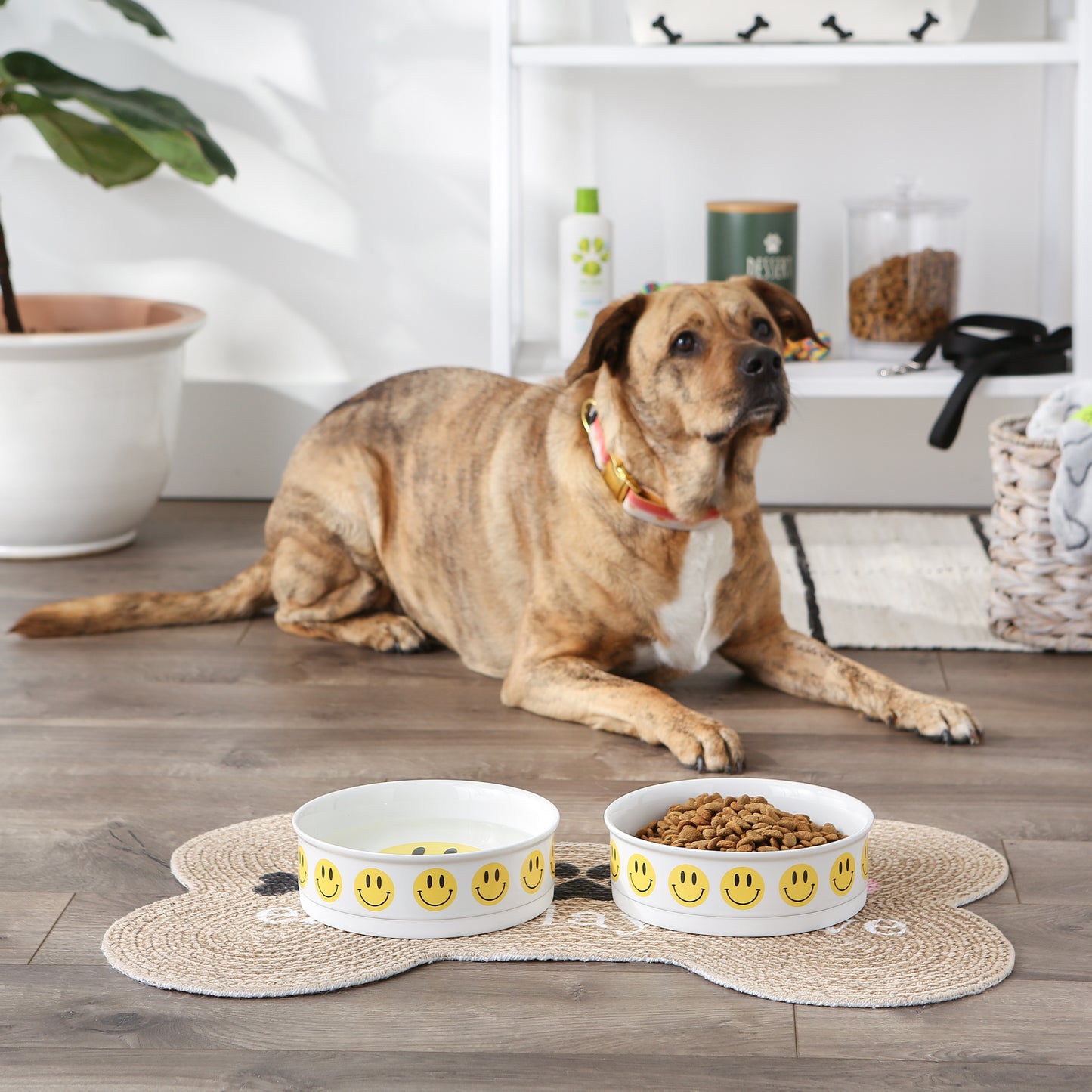 Smiley Face Pet Bowl Set/2, Large 3.75 C. Capacity