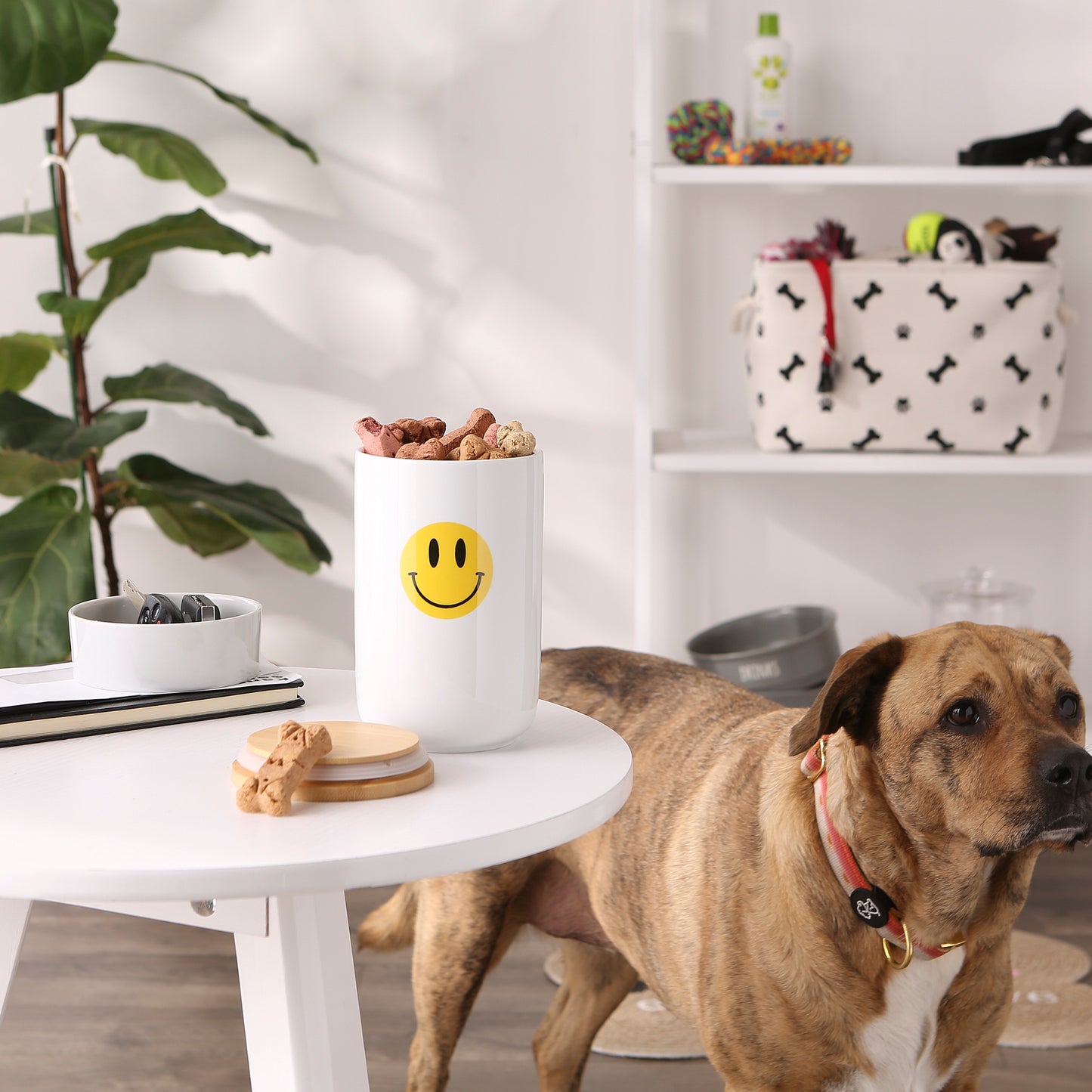 Smiley Face Pet Treat Canister - 4.5 Cup Capacity