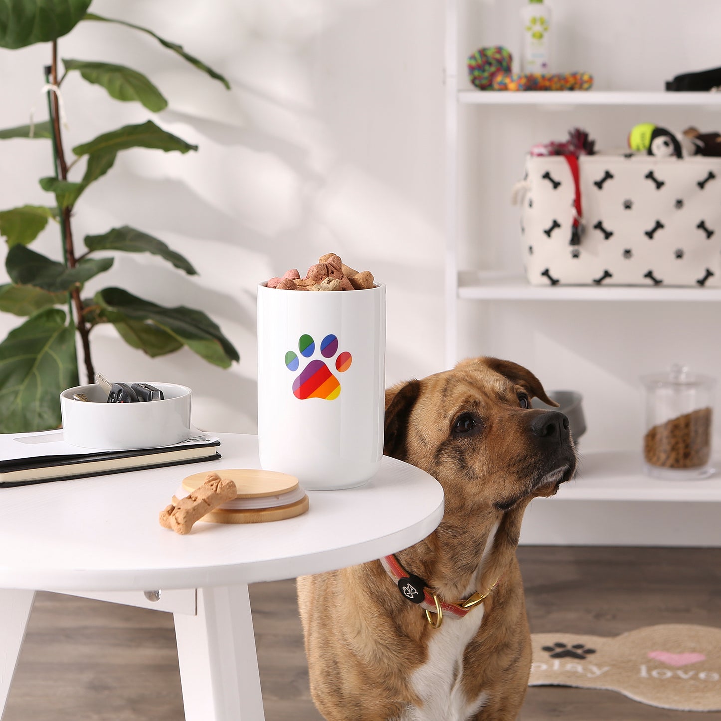 Rainbow Paw Ceramic Treat Canister