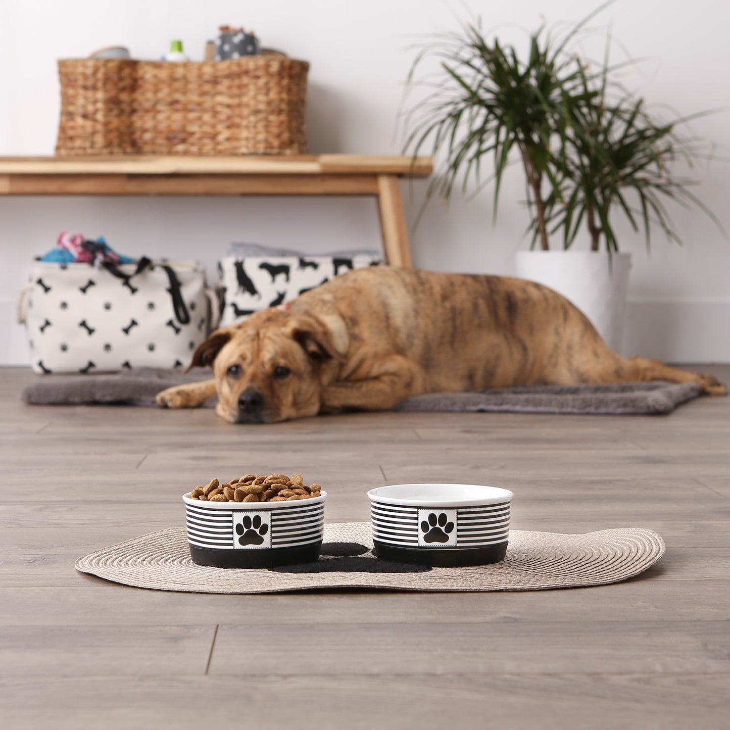 Black Striped Paw Patch Pet Bowl Set/2, Small - 3/4 C Capacity