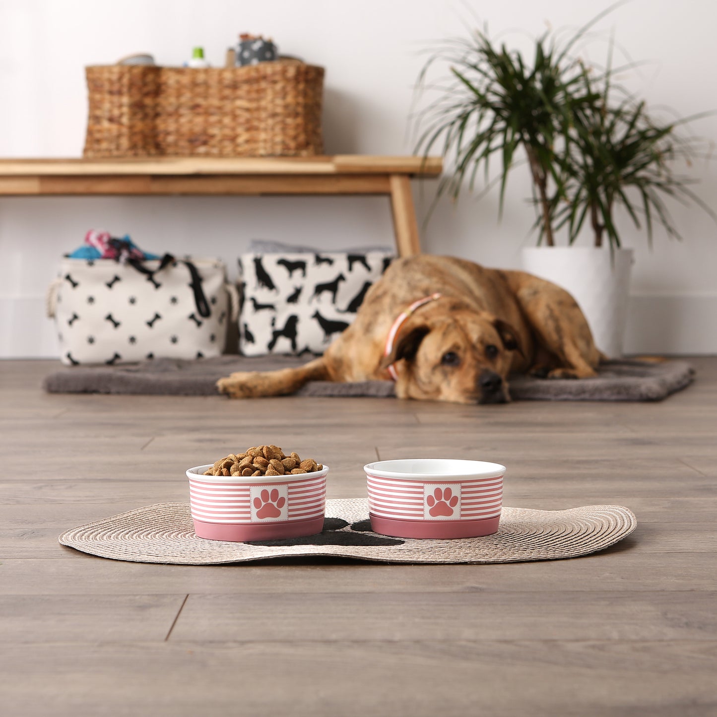 Rose Striped Paw Patch Pet Bowl Set/2, Small - 3/4 C Capacity