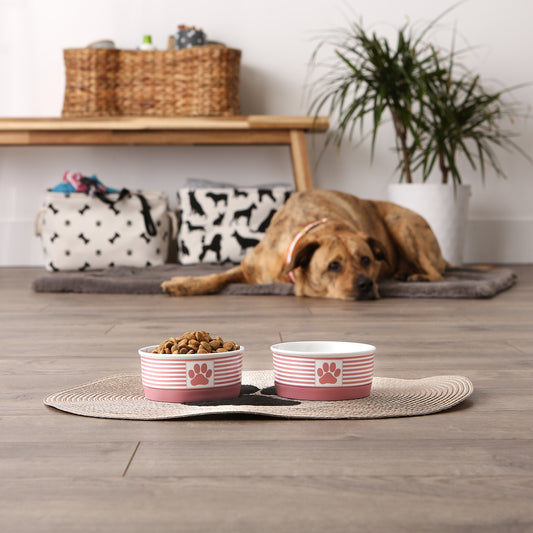 Rose Striped Paw Patch Pet Bowl Set of2, Small - 3/4 C Capacity