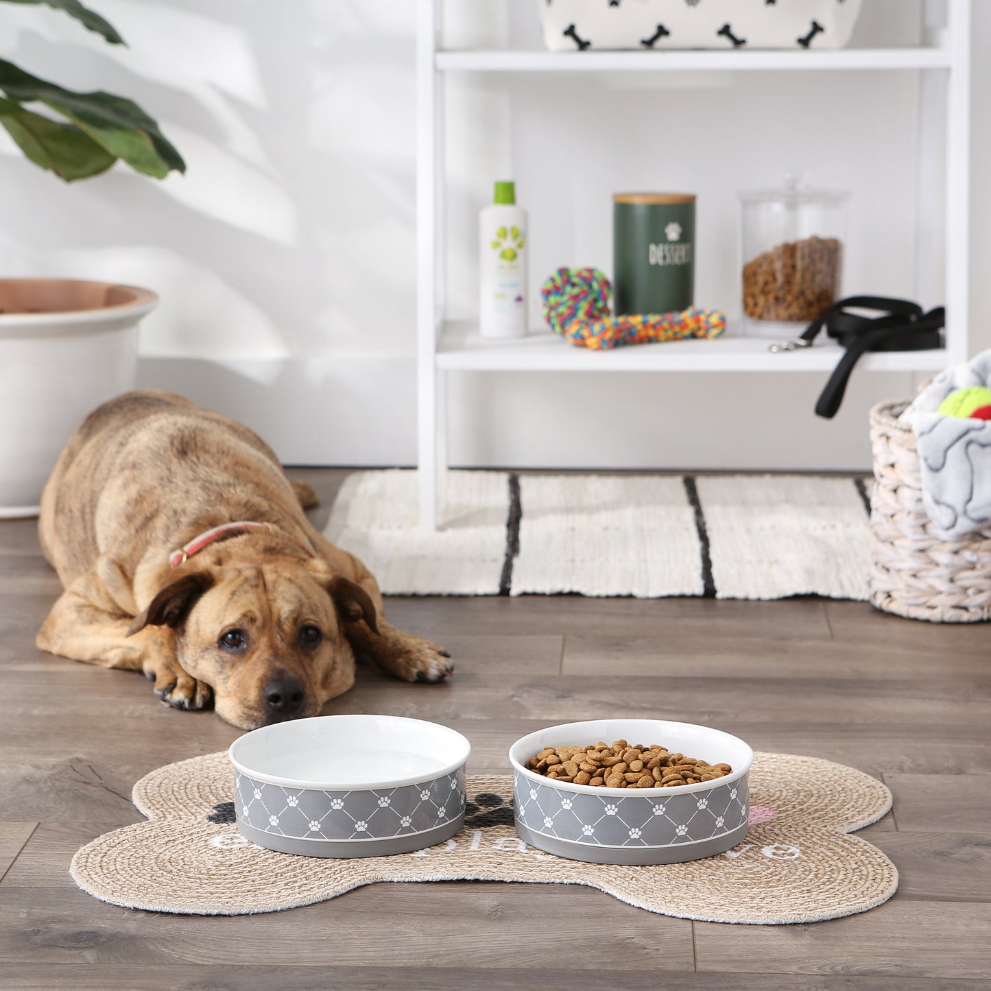 Gray Trellis Paw Print Pet Bowl Set/2, Large 3.75 C. Capacity