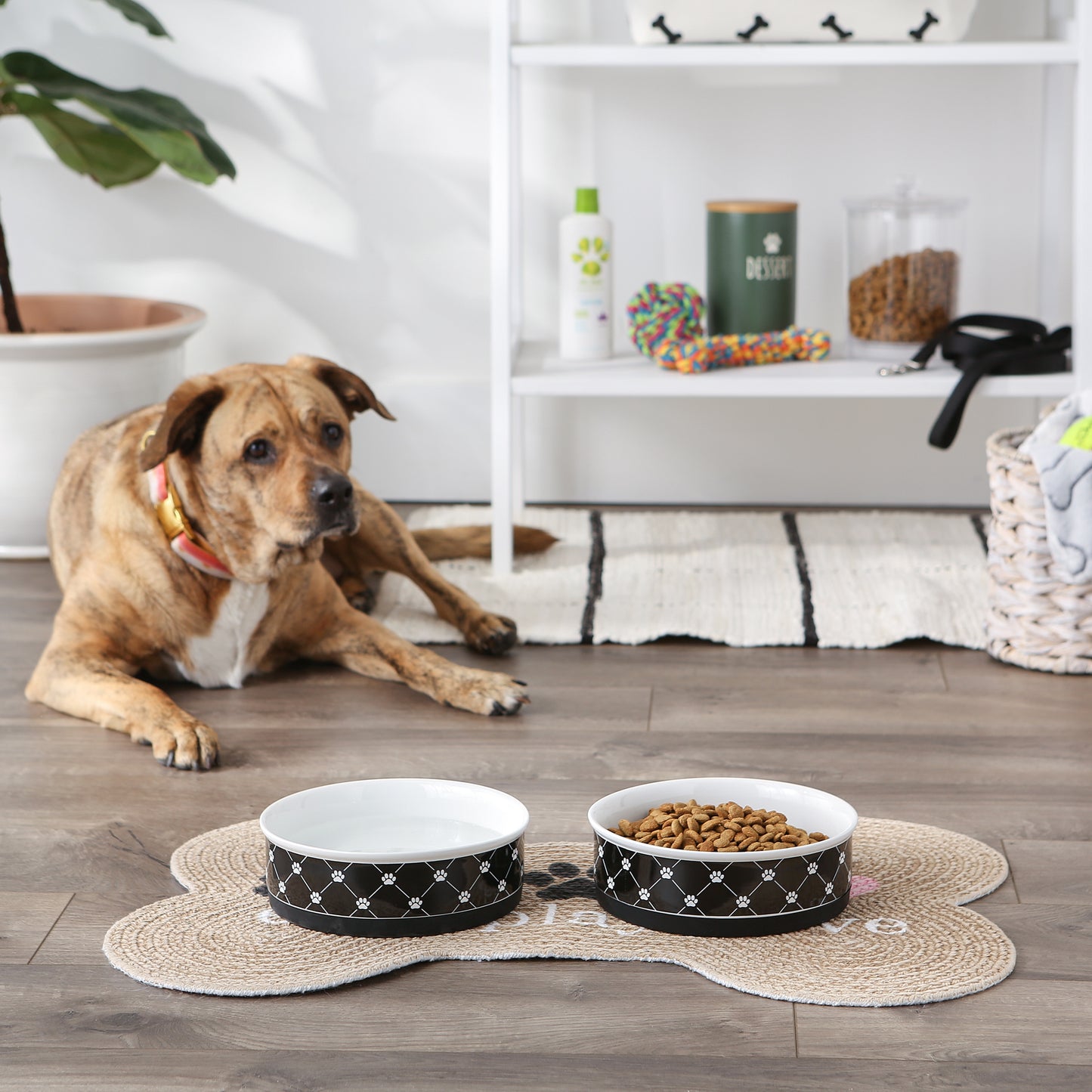 Pet Bowl Trellis Paw Black Large 7.5Dx2.4H Set of 2