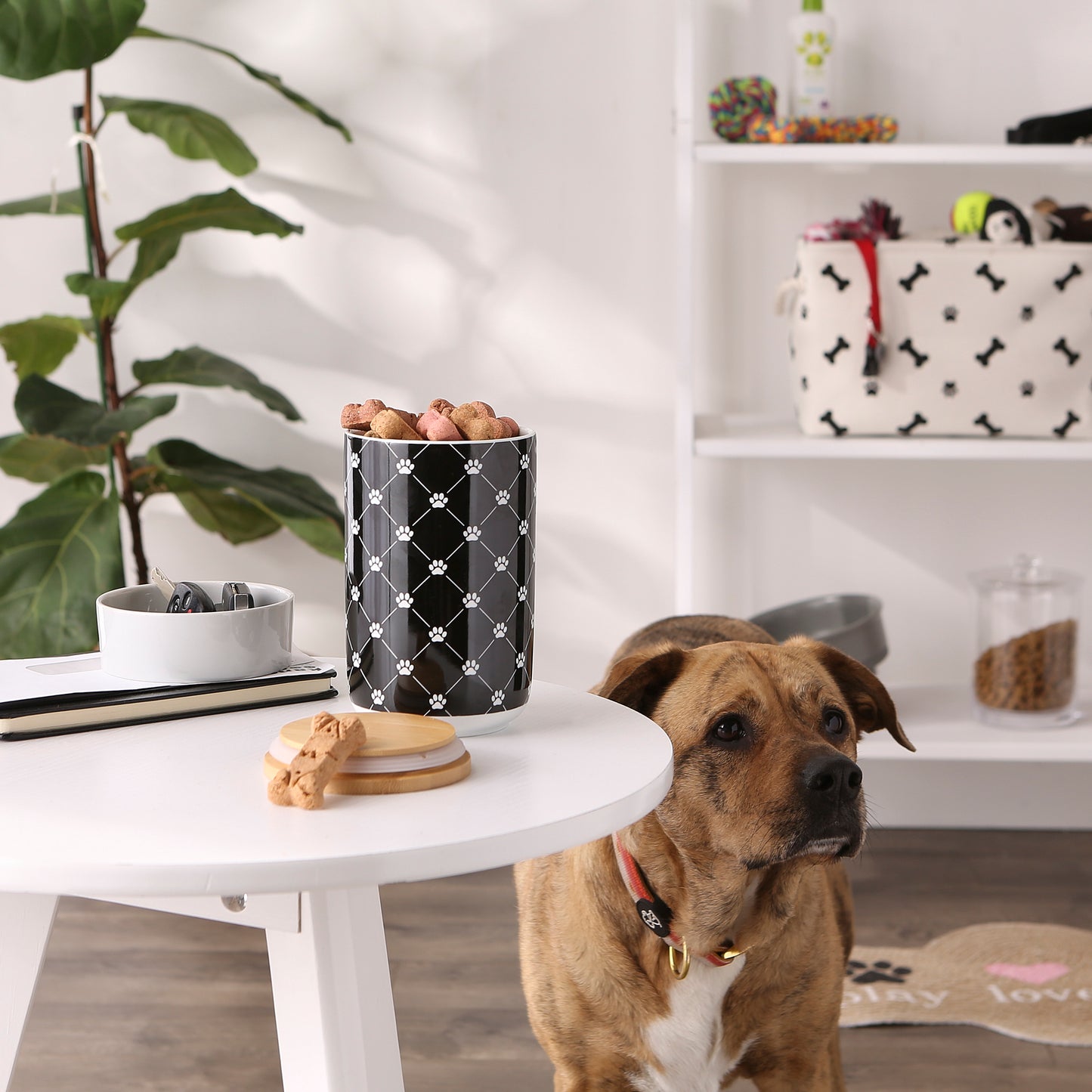 Black Trellis Paw Print Pet Treat Canister - 4.5 Cup Capacity