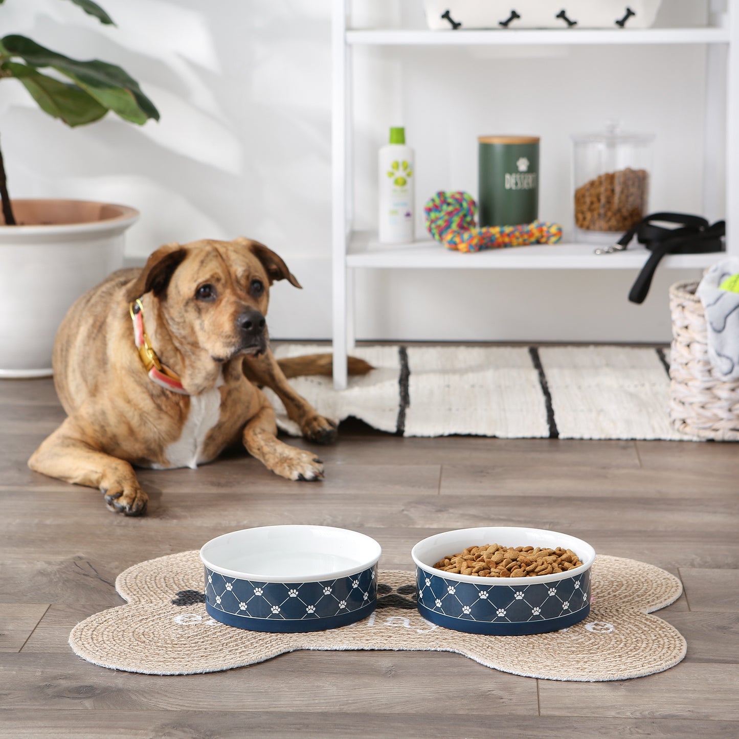 Navy Trellis Paw Print Pet Bowl Set/2, Large 3.75 C. Capacity