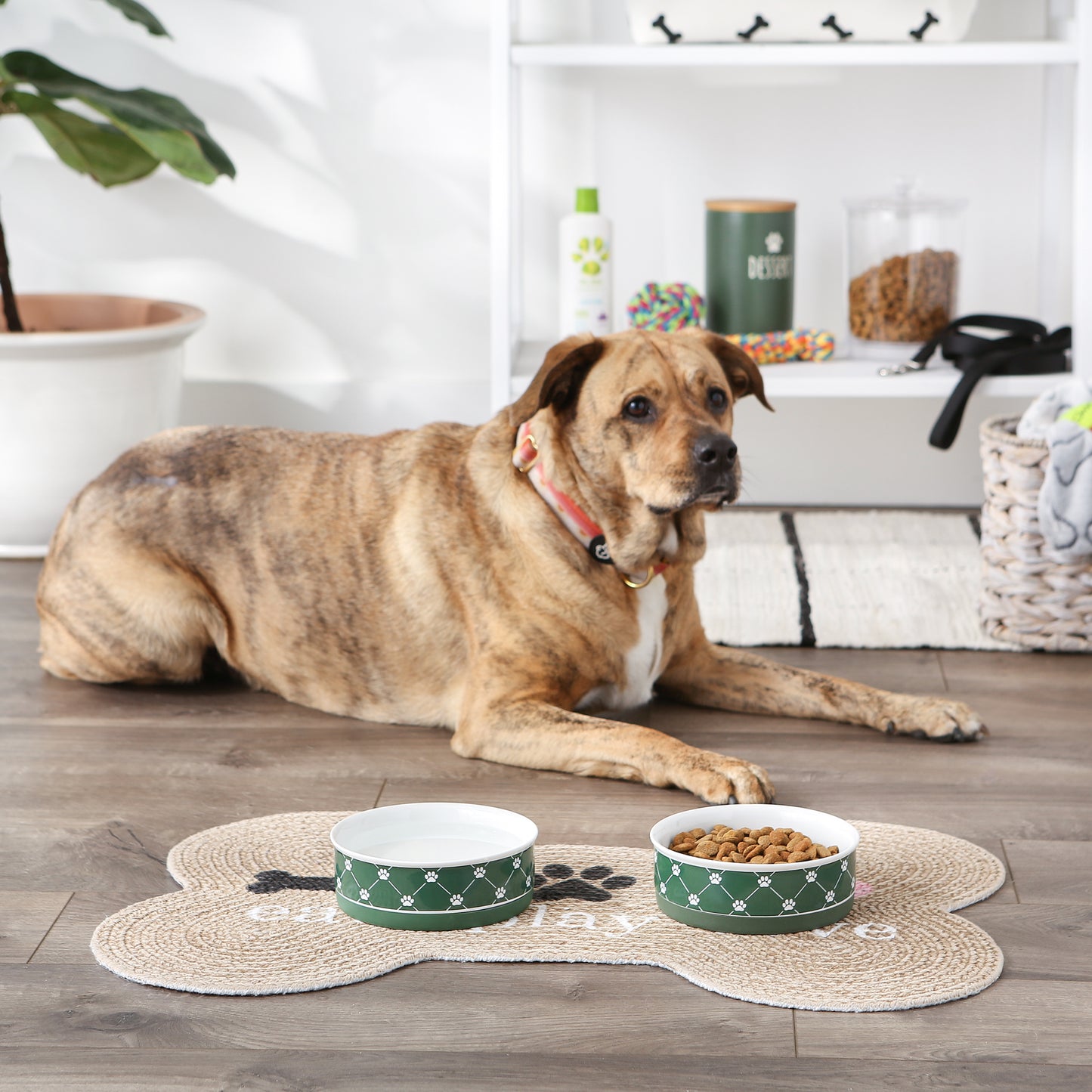 Hunter Green Trellis Paw Print Pet Bowl Set/2, Medium - 1.5 C. Capacity