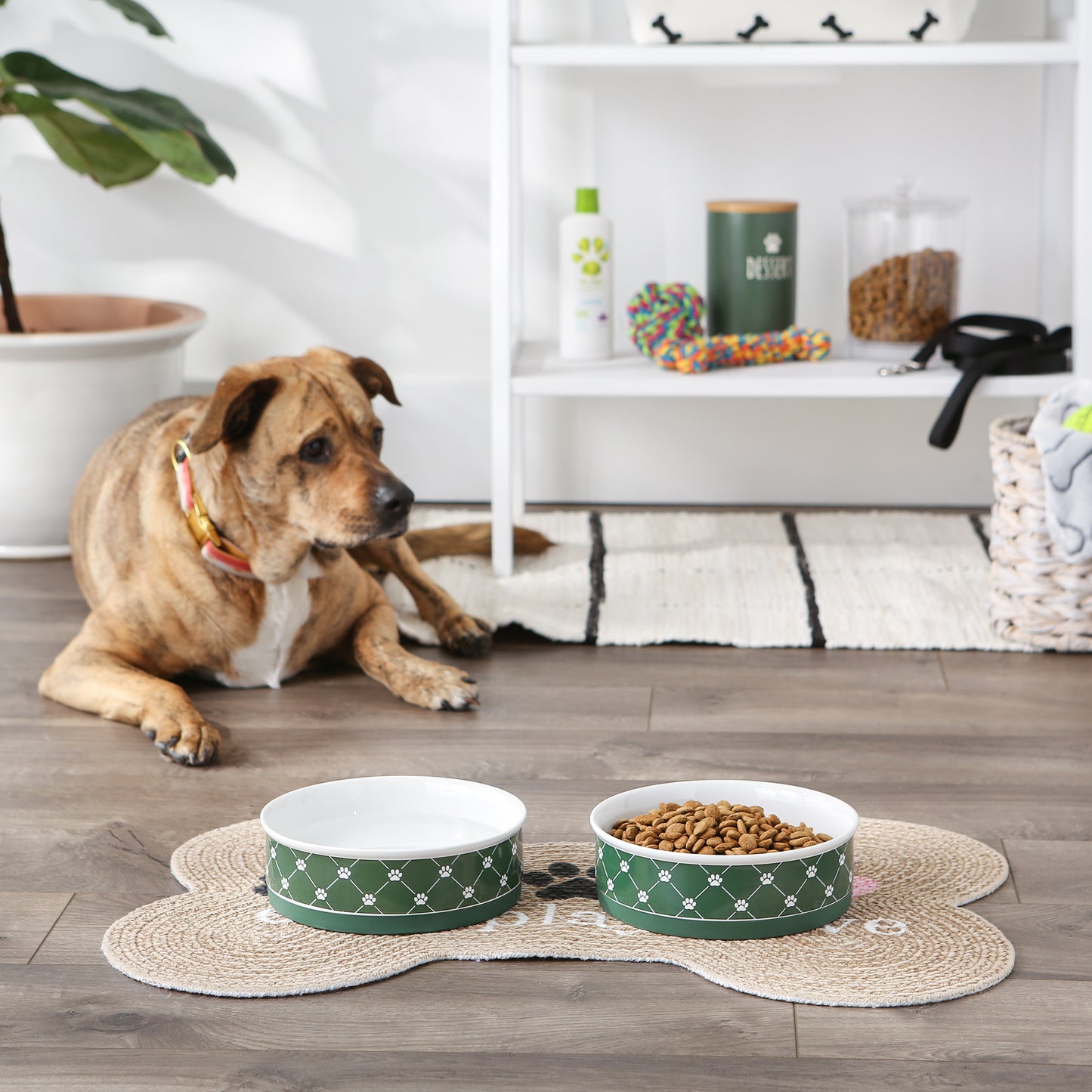 Hunter Green Trellis Paw Print Pet Bowl Set/2, Large 3.75 C. Capacity