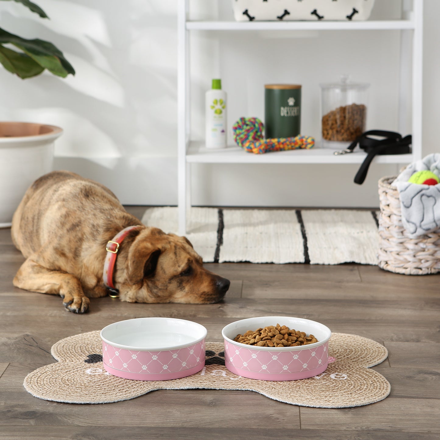 Stonewash Blue Trellis Paw Print Pet Bowl Set/2, Large 3.75 C. Capacity