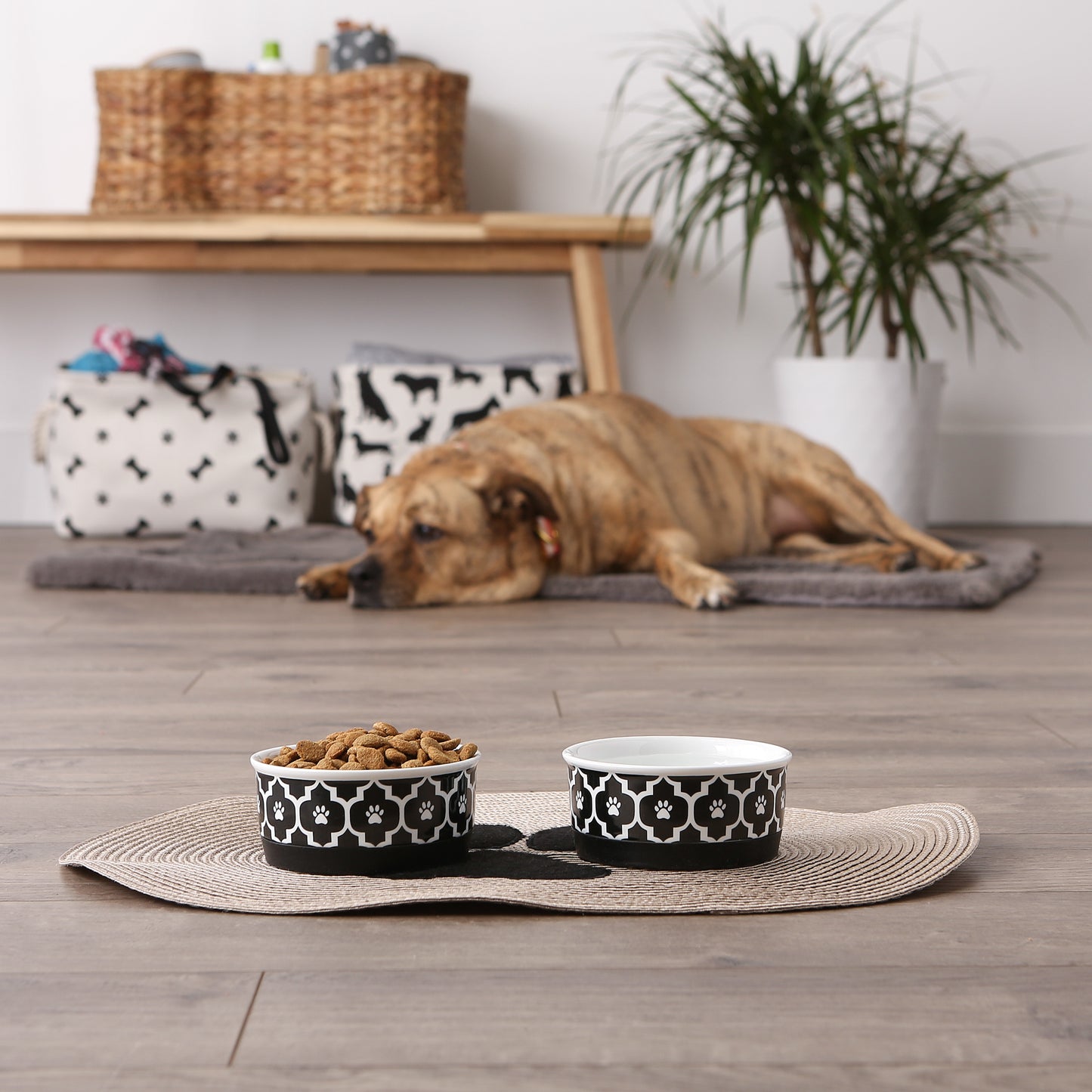 Black Lattice Paw Print Pet Bowl Set/2, Small - 3/4 C Capacity