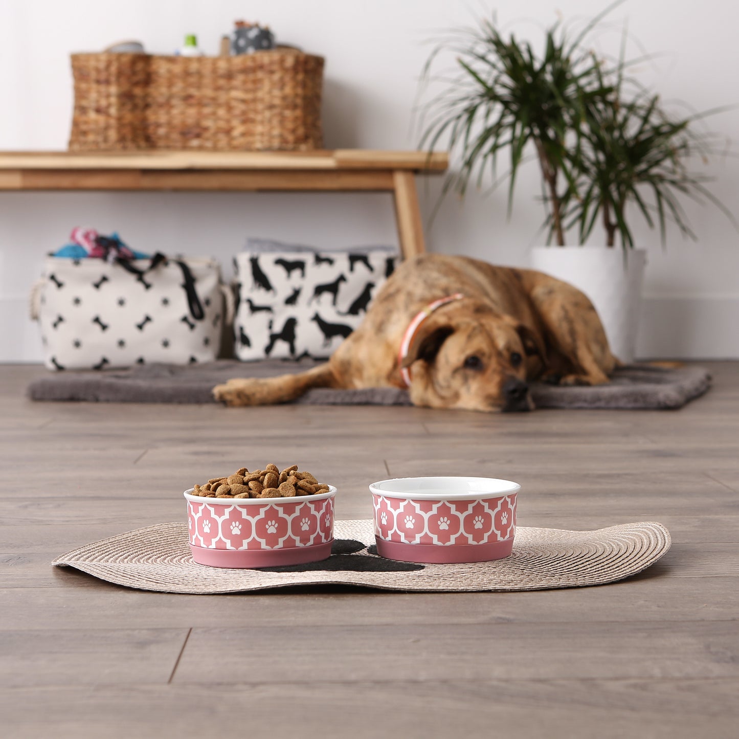 Rose Lattice Paw Print Pet Bowl Set/2, Small - 3/4 C Capacity