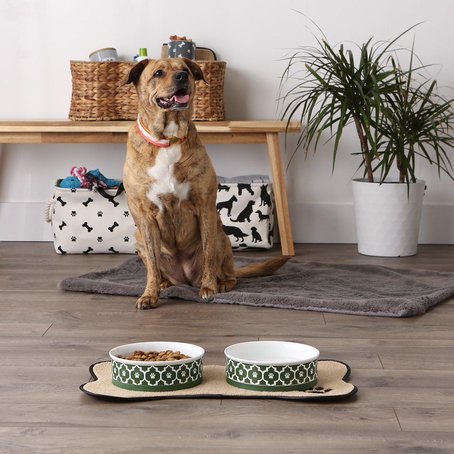 Hunter Green Lattice Paw Print Pet Bowl Set/2, Large 3.75 C. Capacity