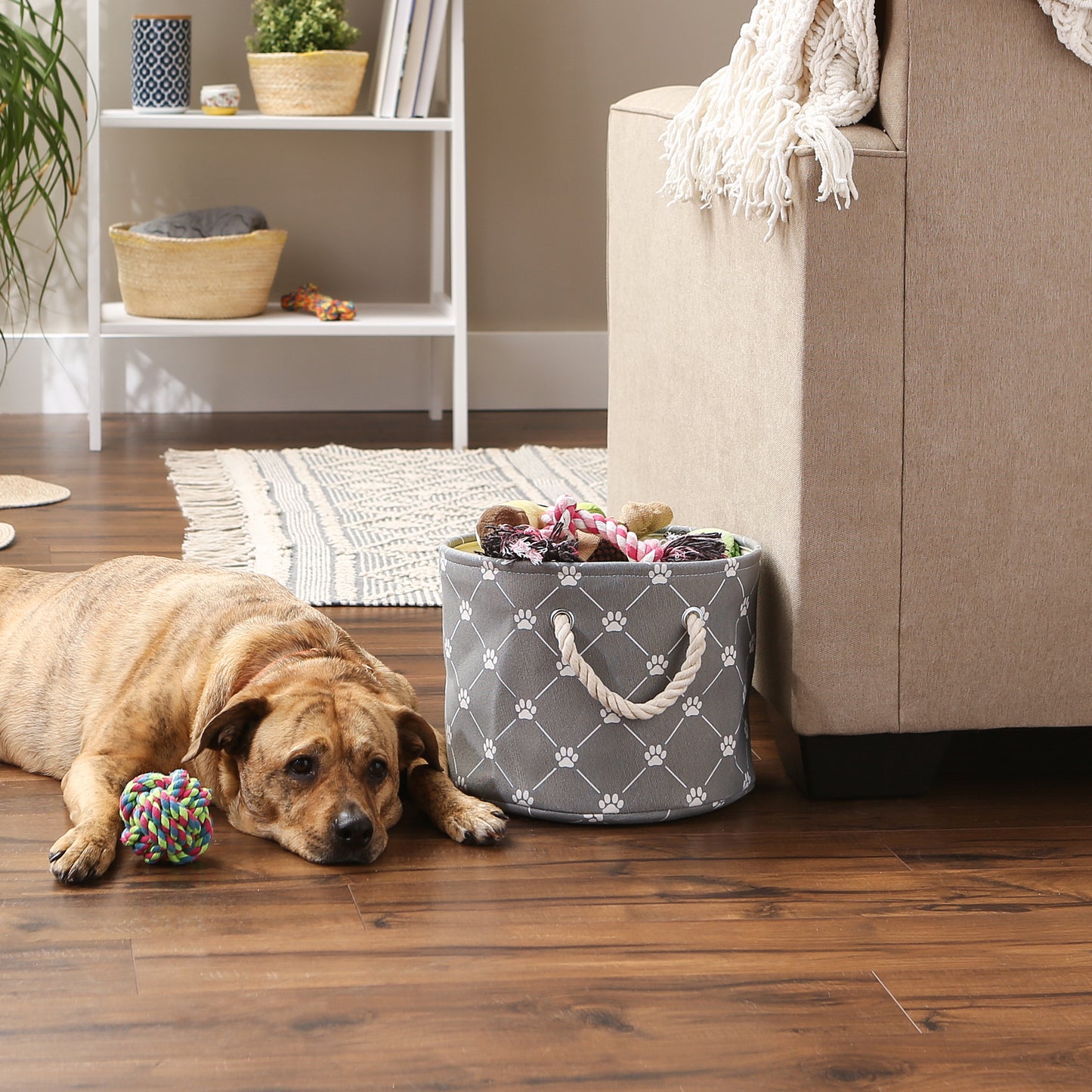 Bone Dry Collapsible Pet Storage Collapsible Bin, Trellis Paw Print, Gray, Small Round - 12x9"