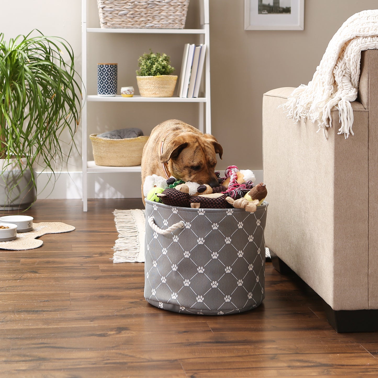 Bone Dry Collapsible Pet Storage Collapsible Bin, Trellis Paw Print, Gray, Medium Round - 15x12"