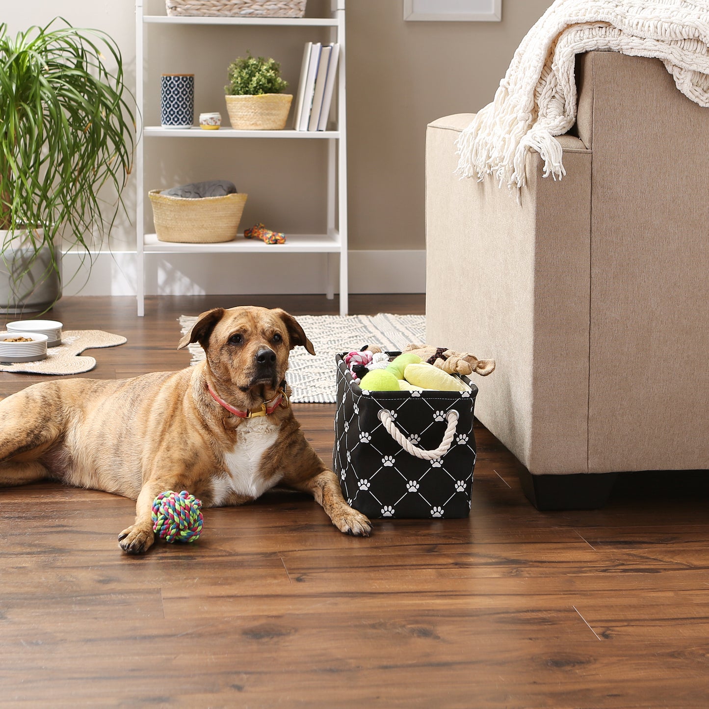 Bone Dry Collapsible Pet Storage Bin, Trellis Paw Print, Black, Small - 14x8x9"