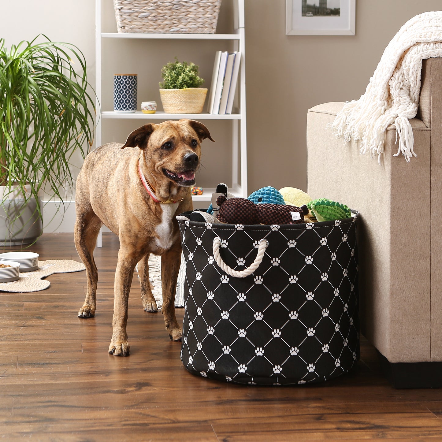 Bone Dry Collapsible Pet Storage Collapsible Bin, Trellis Paw Print, Black, Large Round - 18x15"