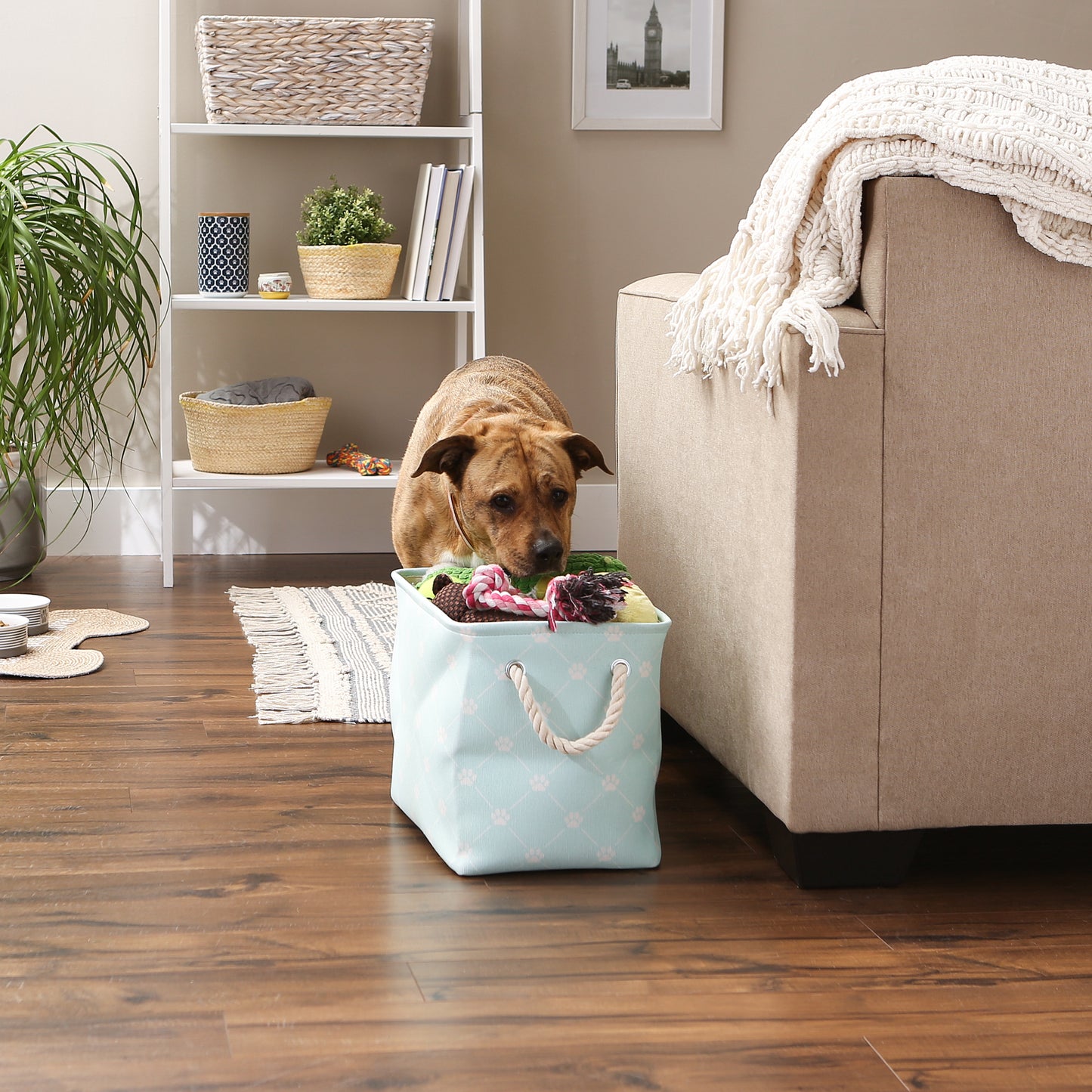 Bone Dry Collapsible Pet Storage Bin, Trellis Paw Print, Aqua, Medium - 16x10x12"