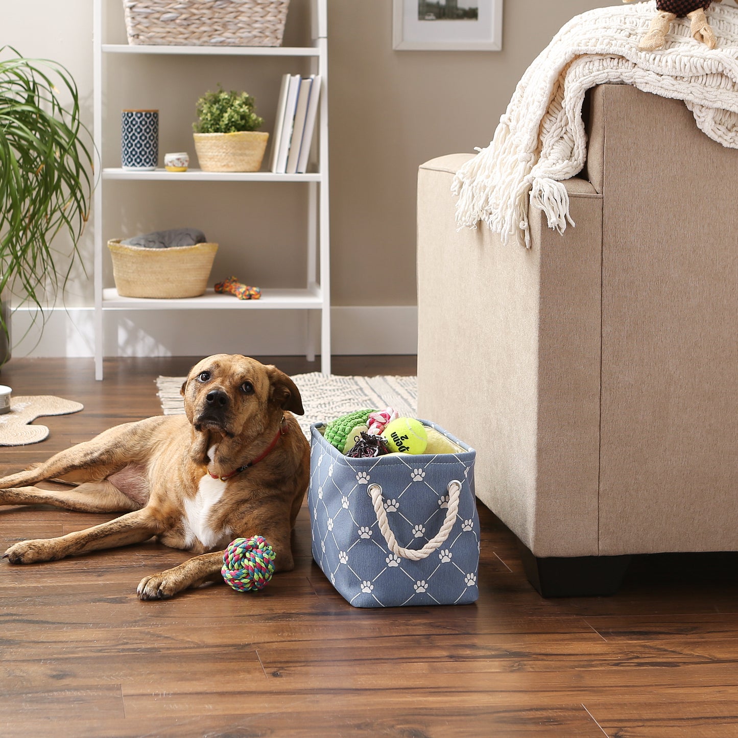 Bone Dry Collapsible Pet Storage Bin, Trellis Paw Print, Stonewash Blue, Small - 14x8x9"