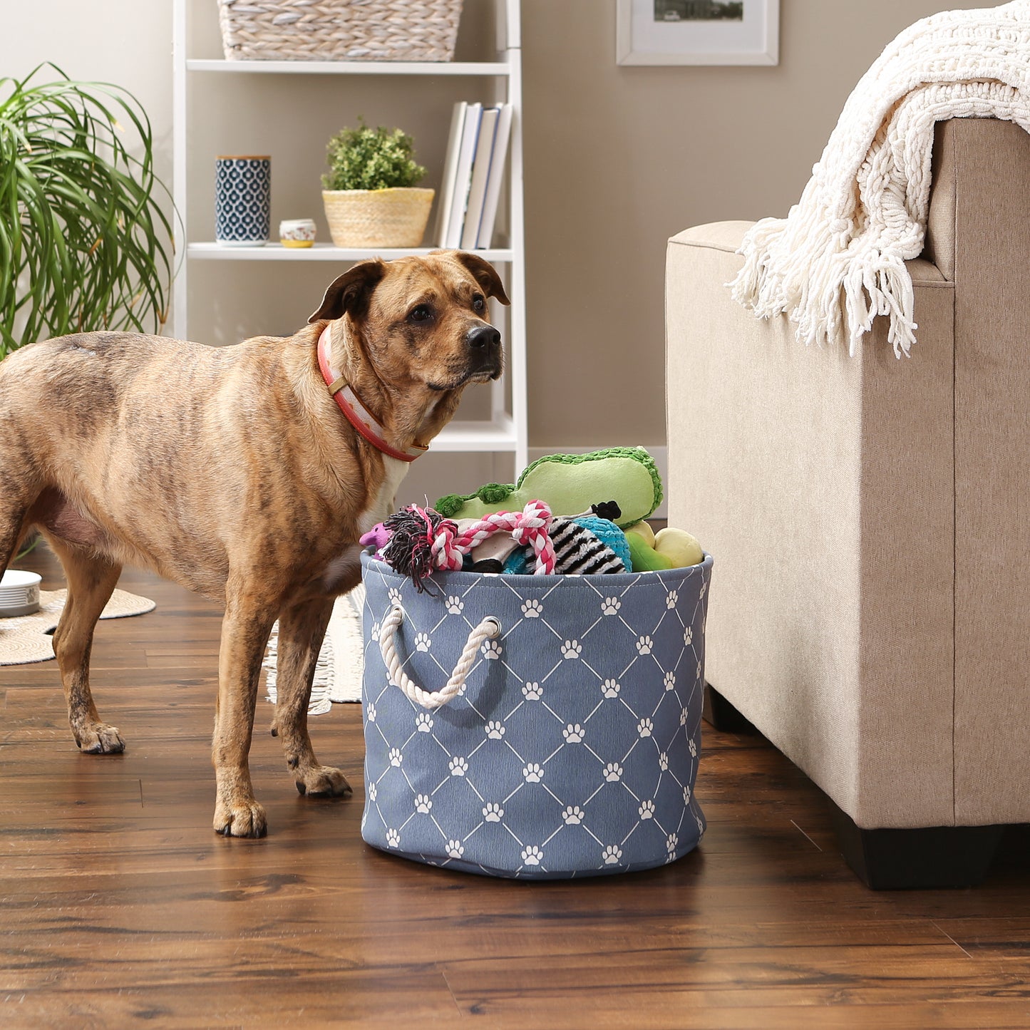 Bone Dry Collapsible Pet Storage Collapsible Bin, Trellis Paw Print, Stonewash Blue, Medium Round - 15x12"