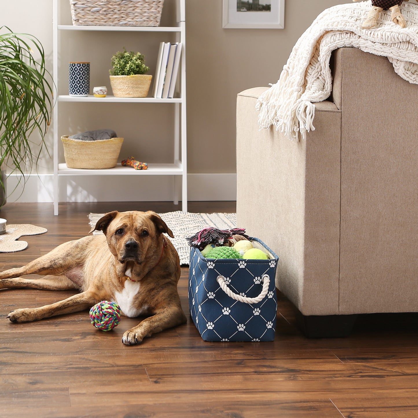 Bone Dry Collapsible Pet Storage Bin, Trellis Paw Print, Navy, Small - 14x8x9"