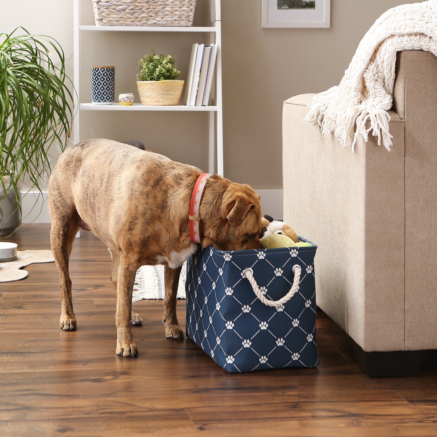 Bone Dry Collapsible Pet Storage Bin, Trellis Paw Print, Navy, Medium - 16x10x12"