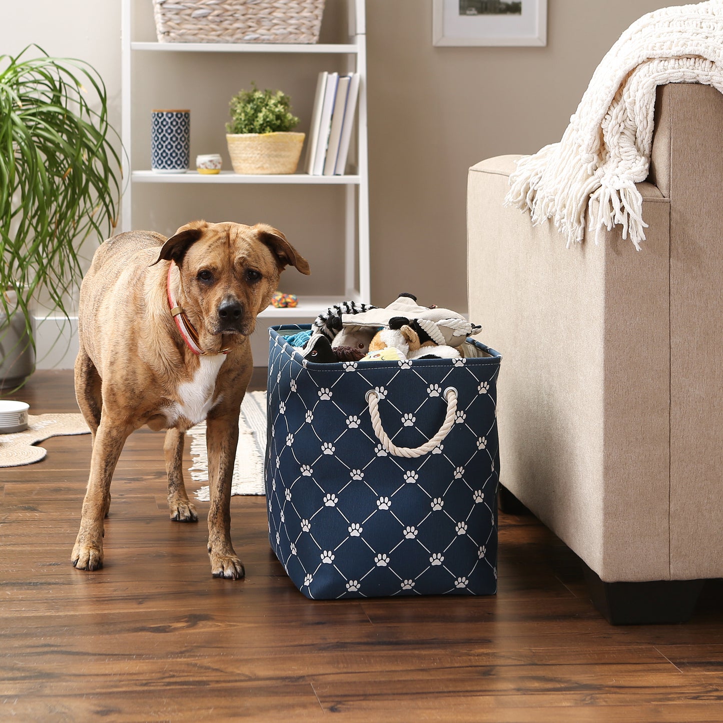 Bone Dry Collapsible Pet Storage Bin, Trellis Paw Print, Navy, Large - 17.5x12x15"