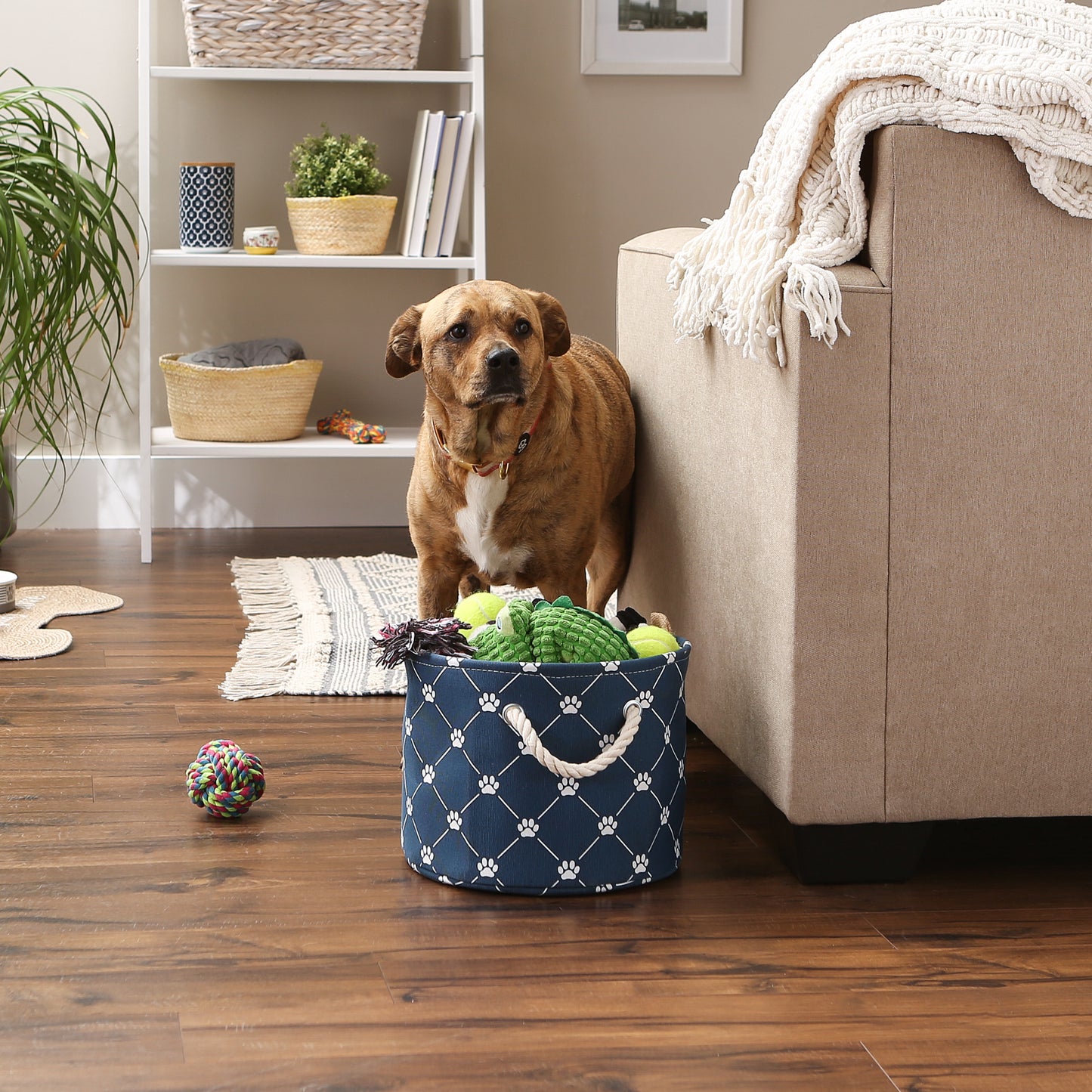 Bone Dry Collapsible Pet Storage Collapsible Bin, Trellis Paw Print, Navy, Small Round - 12x9"