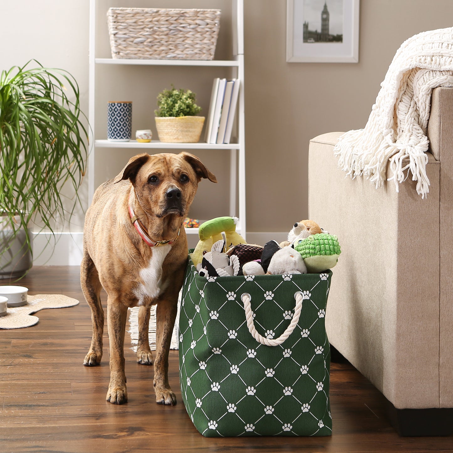 Bone Dry Collapsible Pet Storage Bin, Trellis Paw Print, Hunter Green, Large - 17.5x12x15"