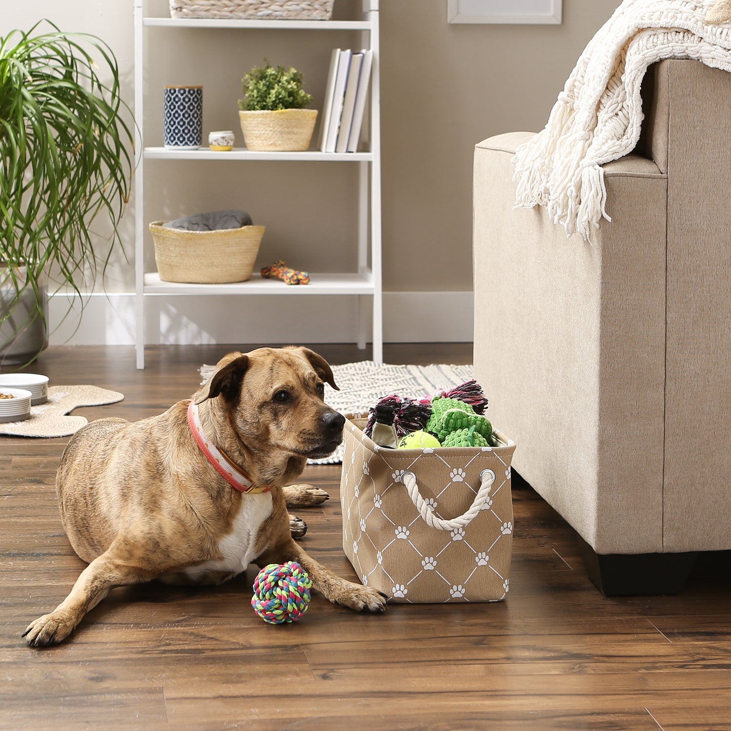 Bone Dry Collapsible Pet Storage Bin, Trellis Paw Print, Taupe, Small - 14x8x9"