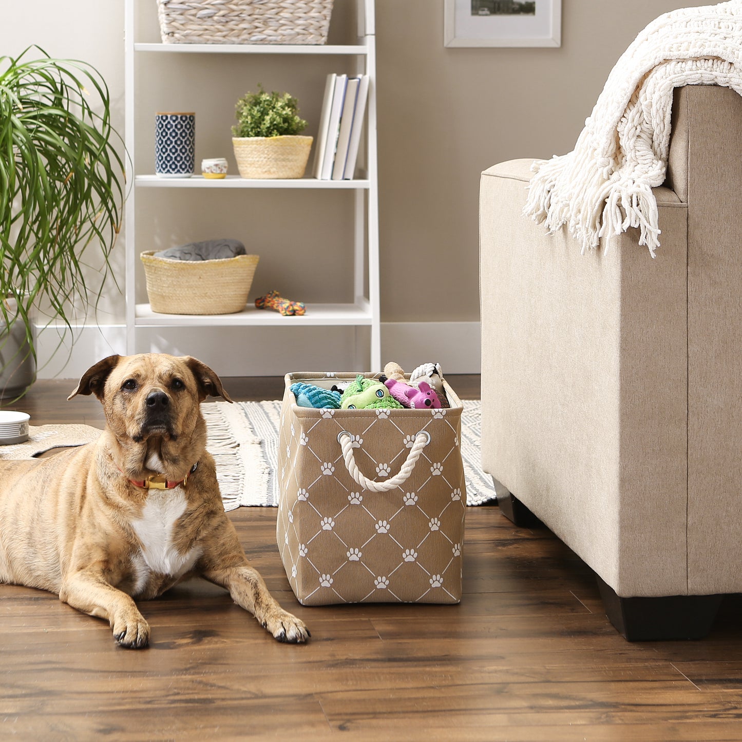 Bone Dry Collapsible Pet Storage Bin, Trellis Paw Print, Taupe, Medium - 16x10x12"