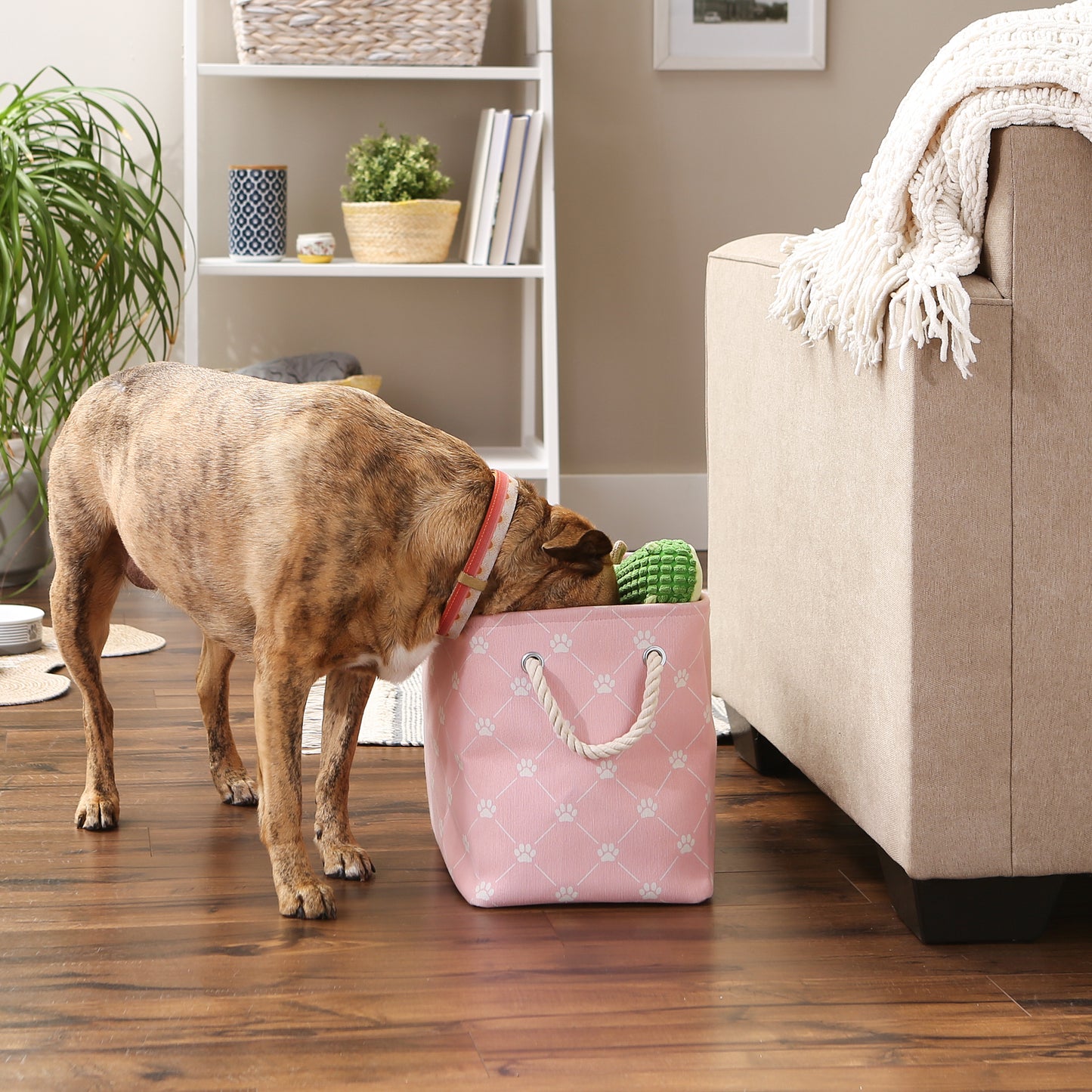 Bone Dry Collapsible Pet Storage Bin, Trellis Paw Print, Pink, Medium - 16x10x12"