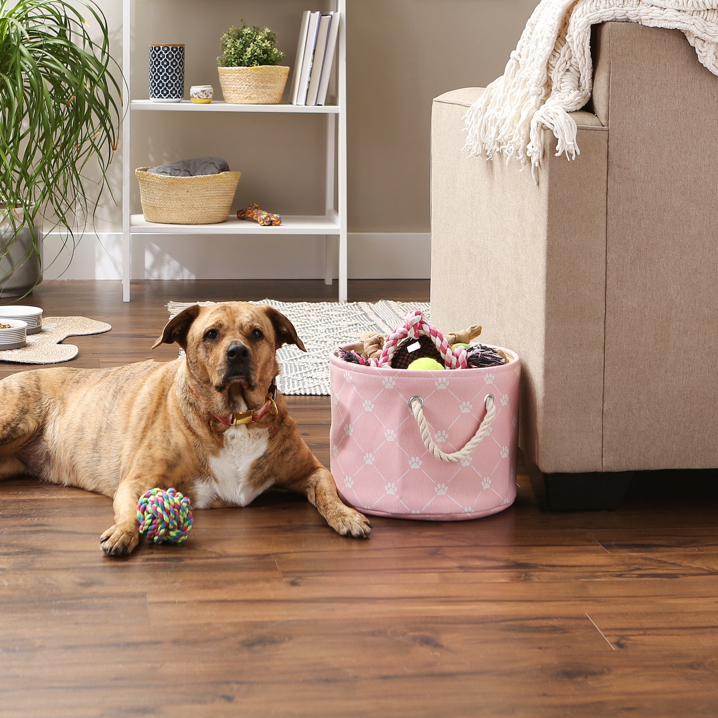 Bone Dry Collapsible Pet Storage Collapsible Bin, Trellis Paw Print, Pink, Small Round - 12x9"