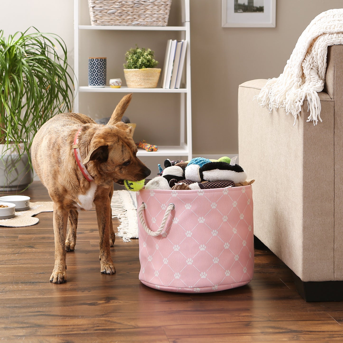 Bone Dry Collapsible Pet Storage Collapsible Bin, Trellis Paw Print, Pink, Medium Round - 15x12"