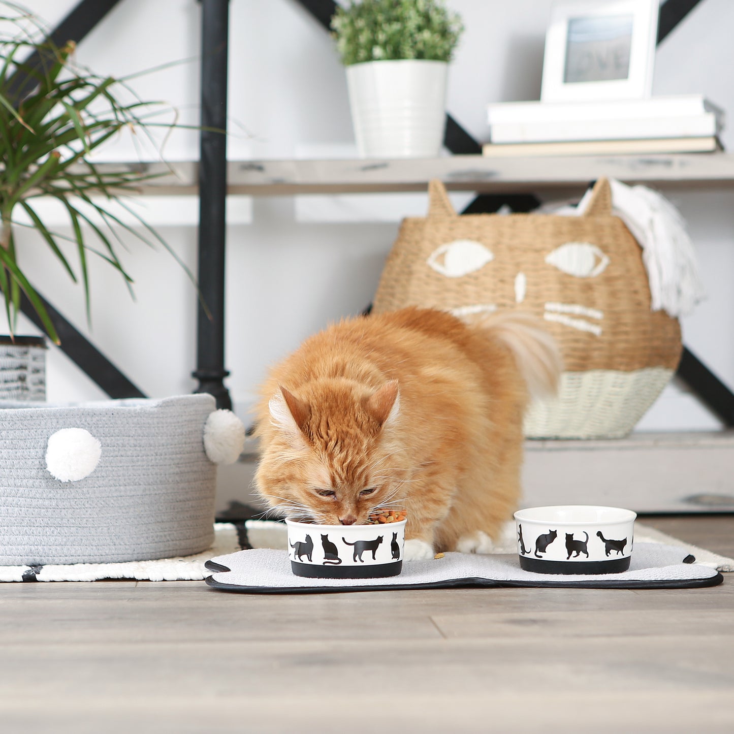 Black/White Cat's Meow Pet Bowl Set of 2, Small - 3/4 C. Capacity