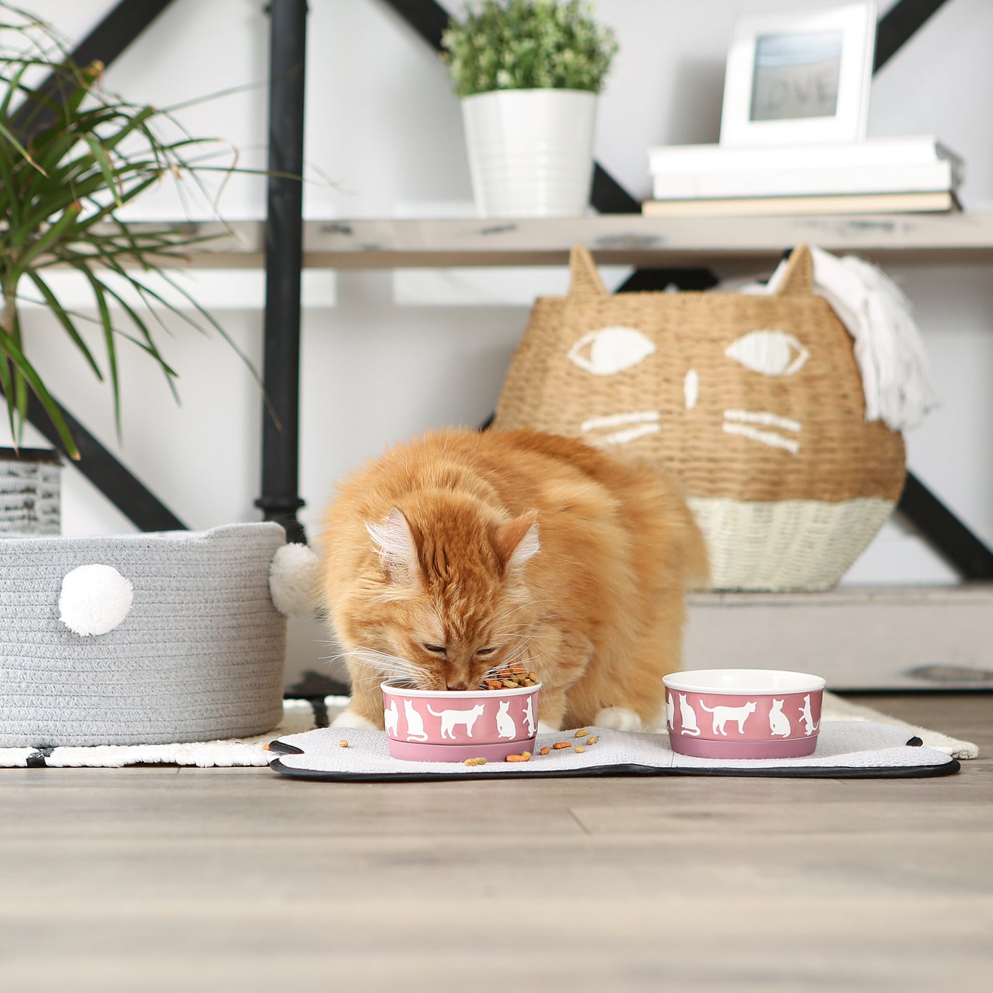 Rose Cat's Meow Pet Bowl Set/2, Small - 3/4 C Capacity