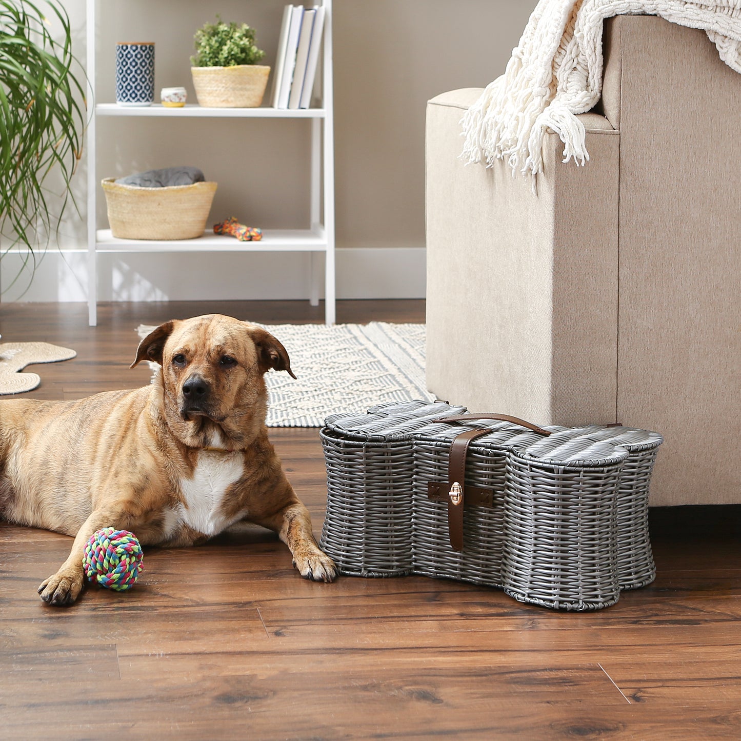 Bone Dry Pet Toy Storage Basket, Bone Shaped, Gray, Small - 17.5x11x7.5"