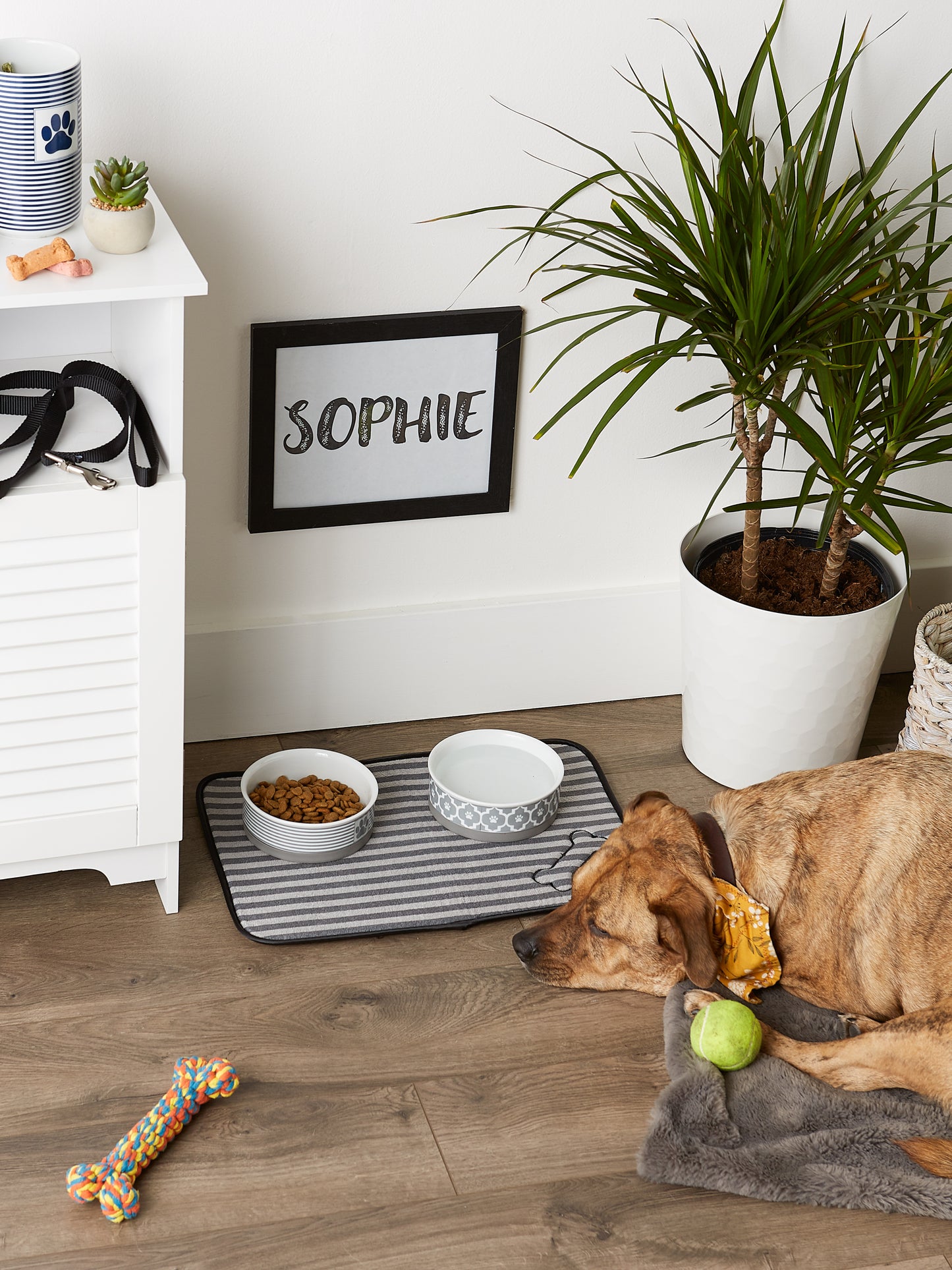 Gray Stripe Embroidered Bone Pet Mat